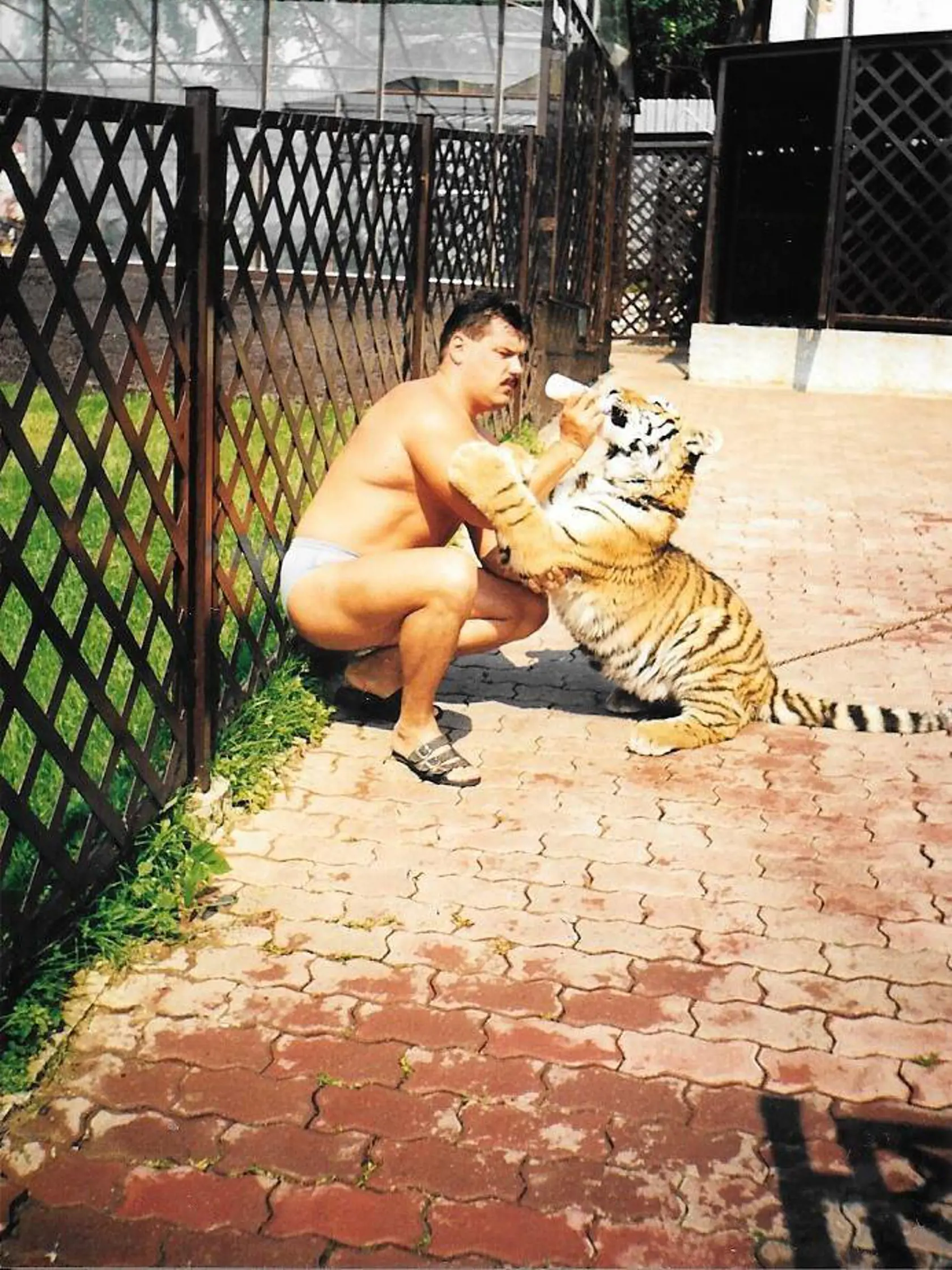 Mikuláš Černák