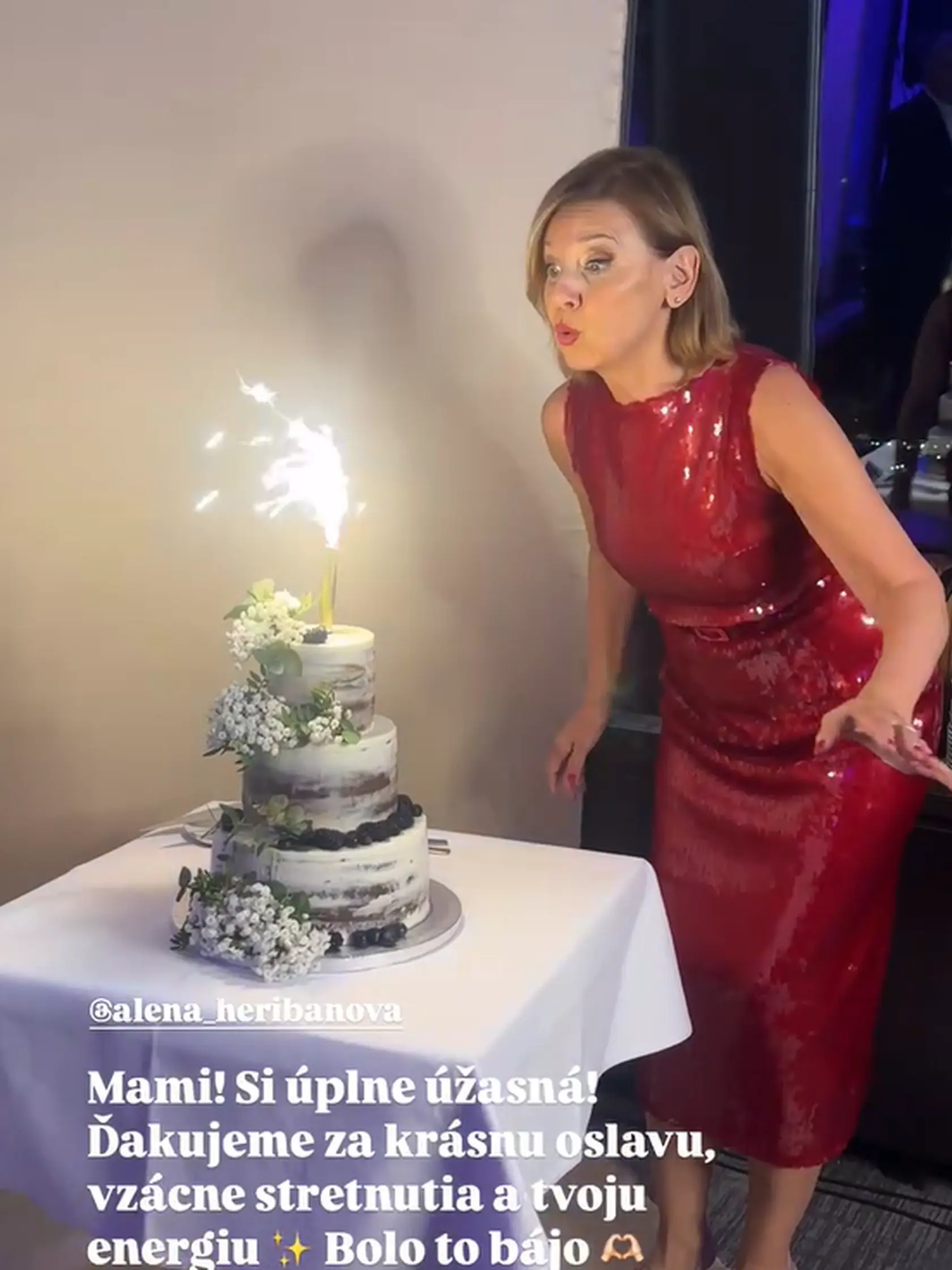 Veľkolepá oslava 70-ky Aleny Heribanovej sa konala symbolicky na Kamzíku v televíznej veži. Jubilantka dostala nádhernú poschodovú tortu.