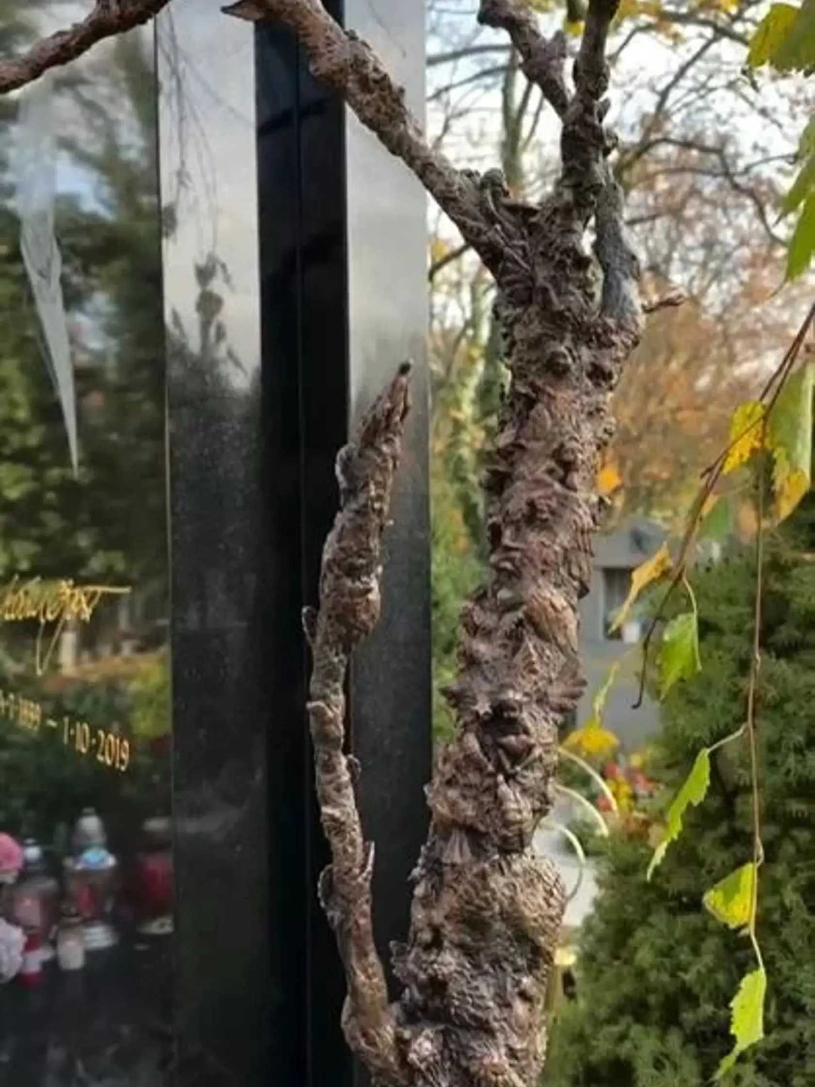 Na hrobe Karla Gotta pribudla nová socha.