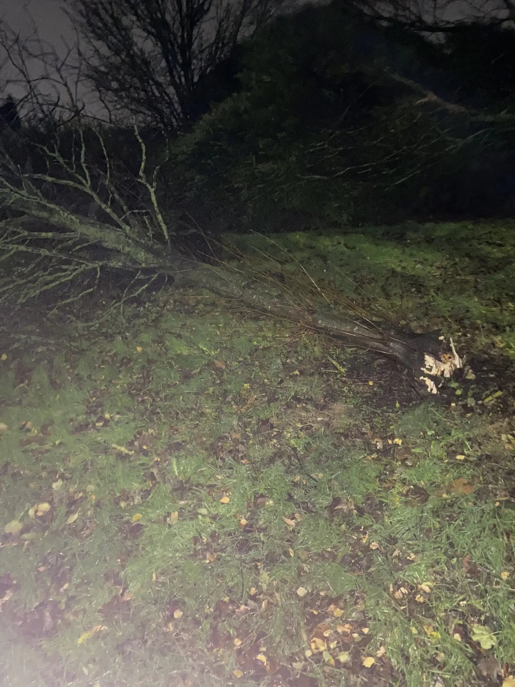 Polícia uviedla, že jedna obeť z Lancastera bola zabitá minulú noc okolo 23:00. V Severnom Írsku zahynul v piatok muž, keď jeho auto zasiahol padajúci strom v grófstve Antrim. A tretí zahynul, keď včera okolo 17:00 spadol strom na jeho auto v Aberdeenshire.