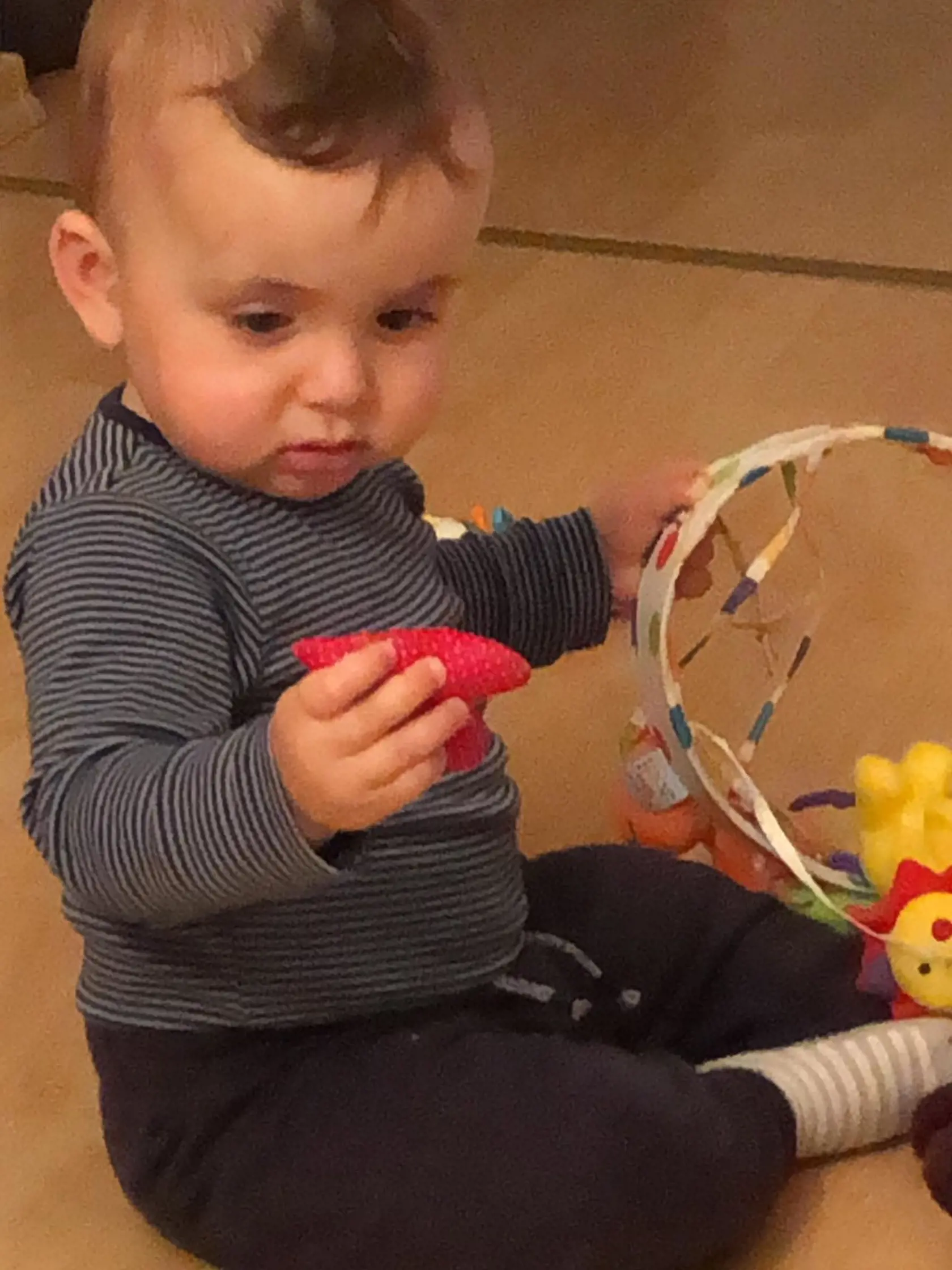 Smutný Alexis (1) je často zahľadený do jedného bodu, akoby nad niečím rozmýšľal.