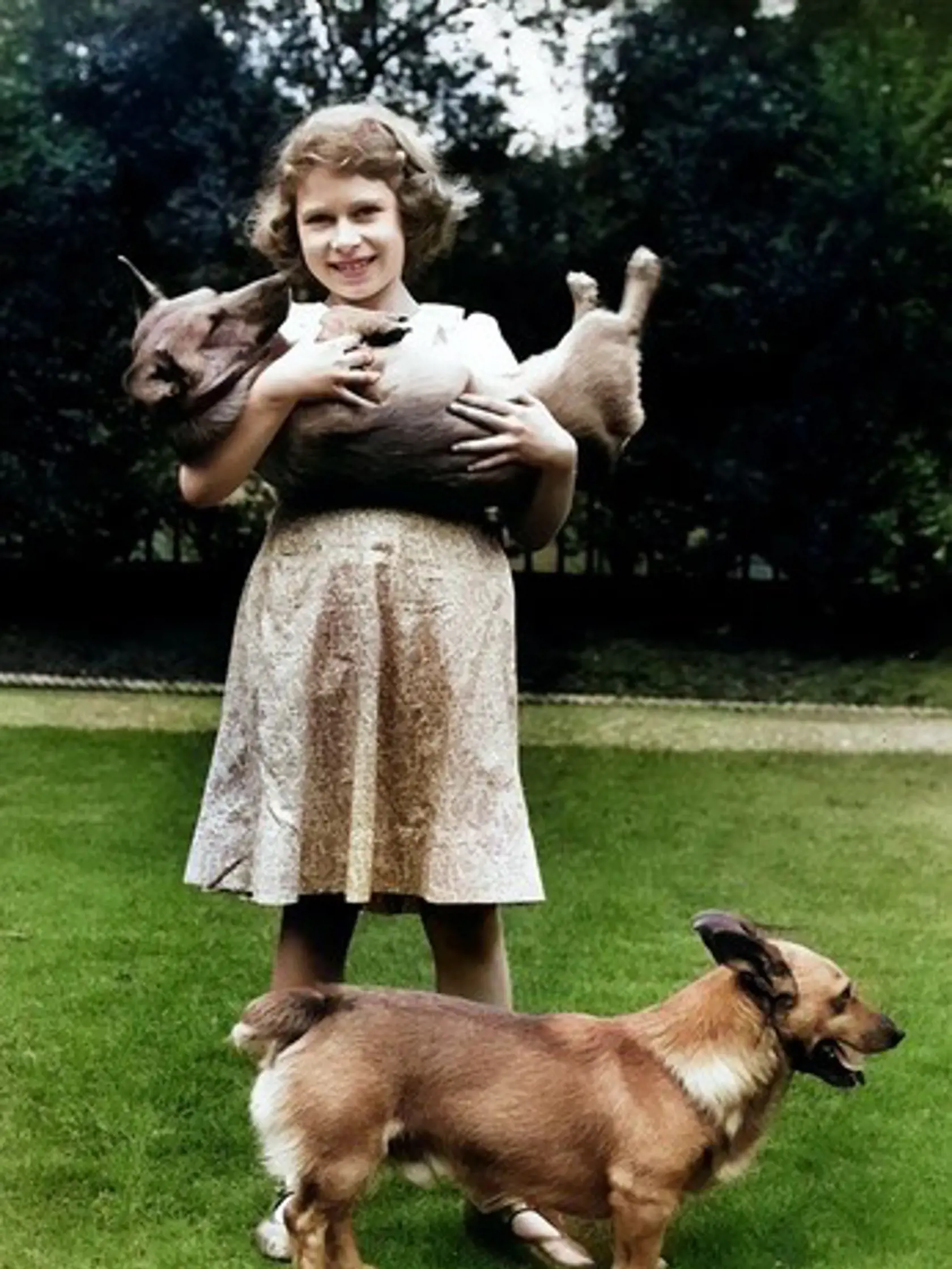 Elizabeth II as a child with her loved Corgi dogs