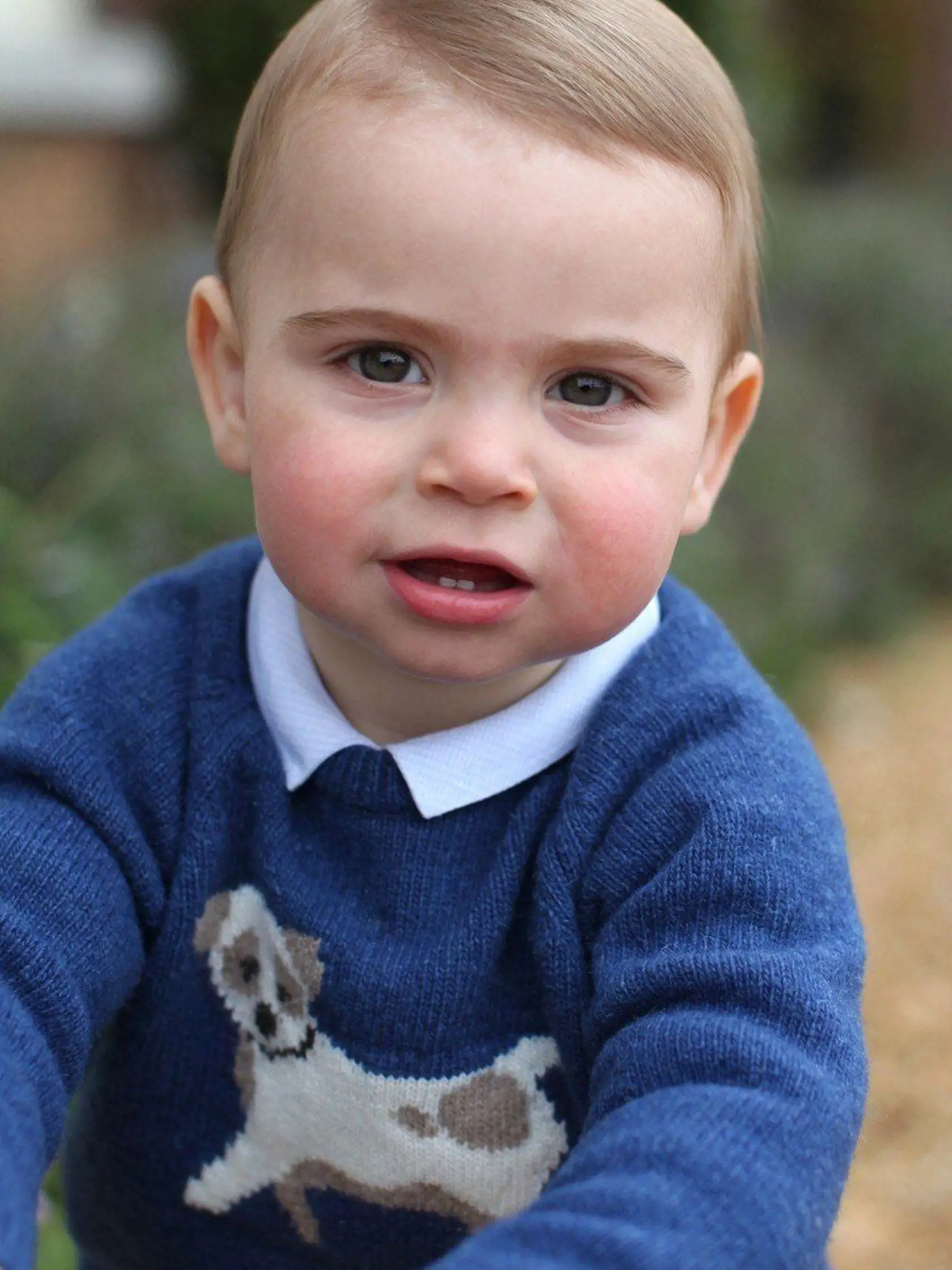 Princ Louis