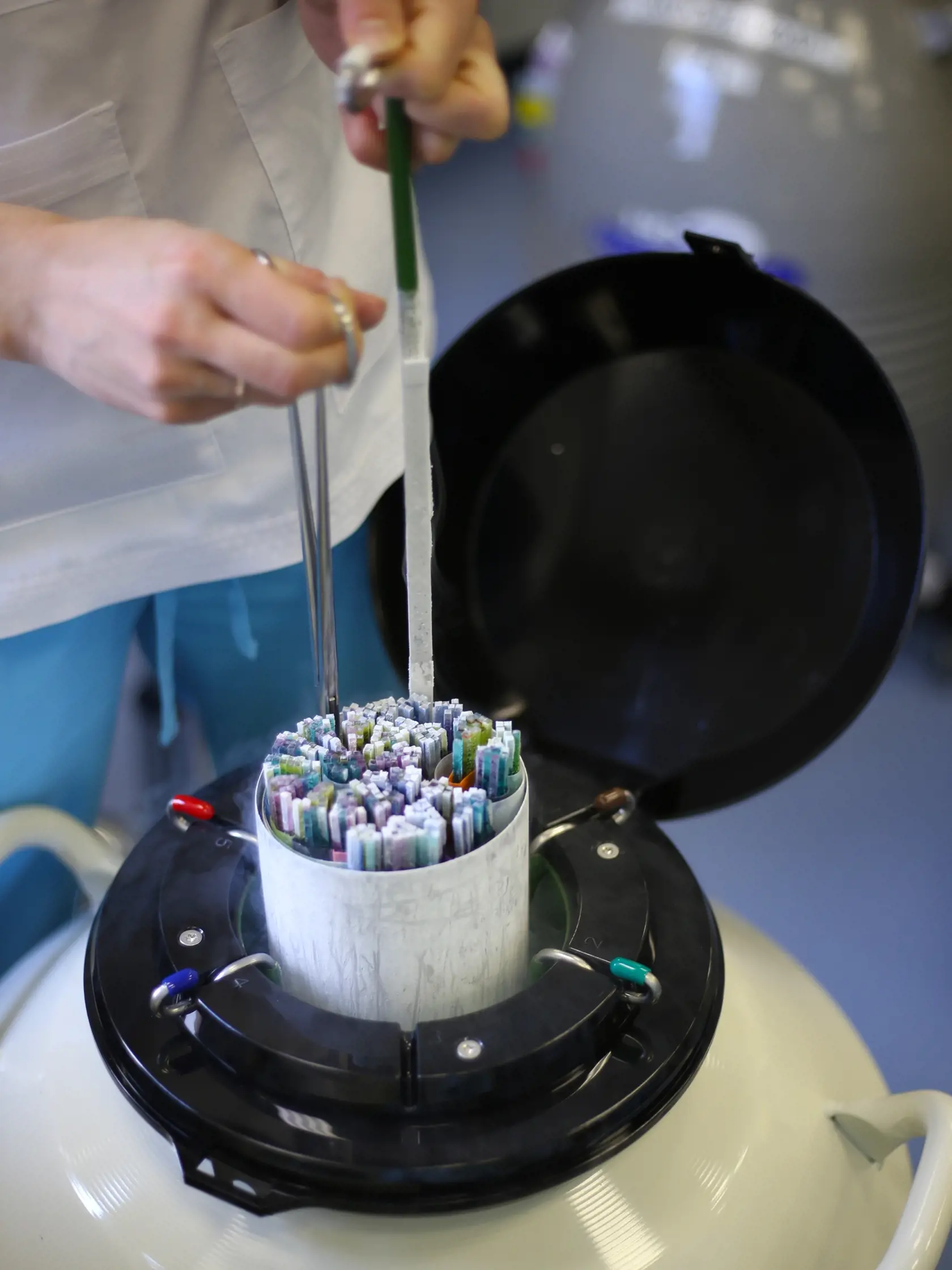 Tím vedený profesorom Jacobom Hannaom z Weizmannovho inštitútu vied vytvoril kompletné modely ľudských embryí len z kmeňových buniek vypestovaných v laboratóriu a mimo maternice.