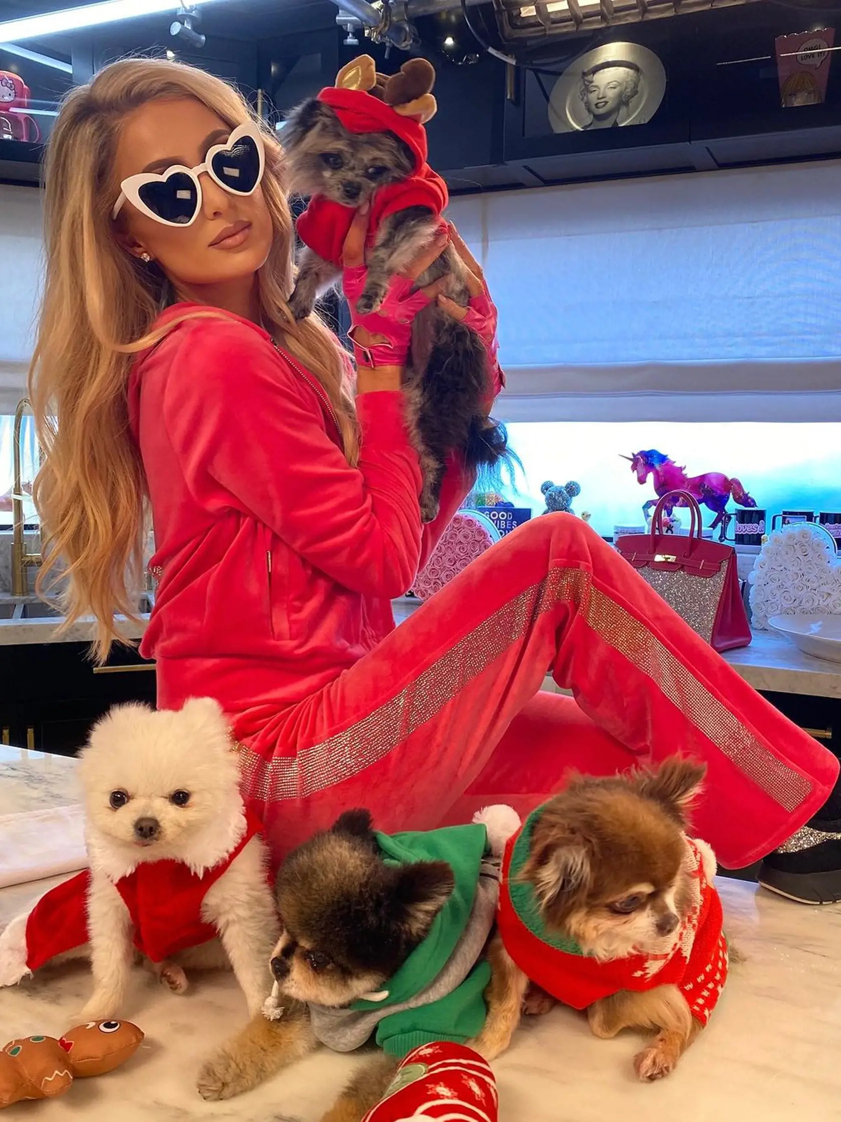 Psíčkarka Paris Hilton