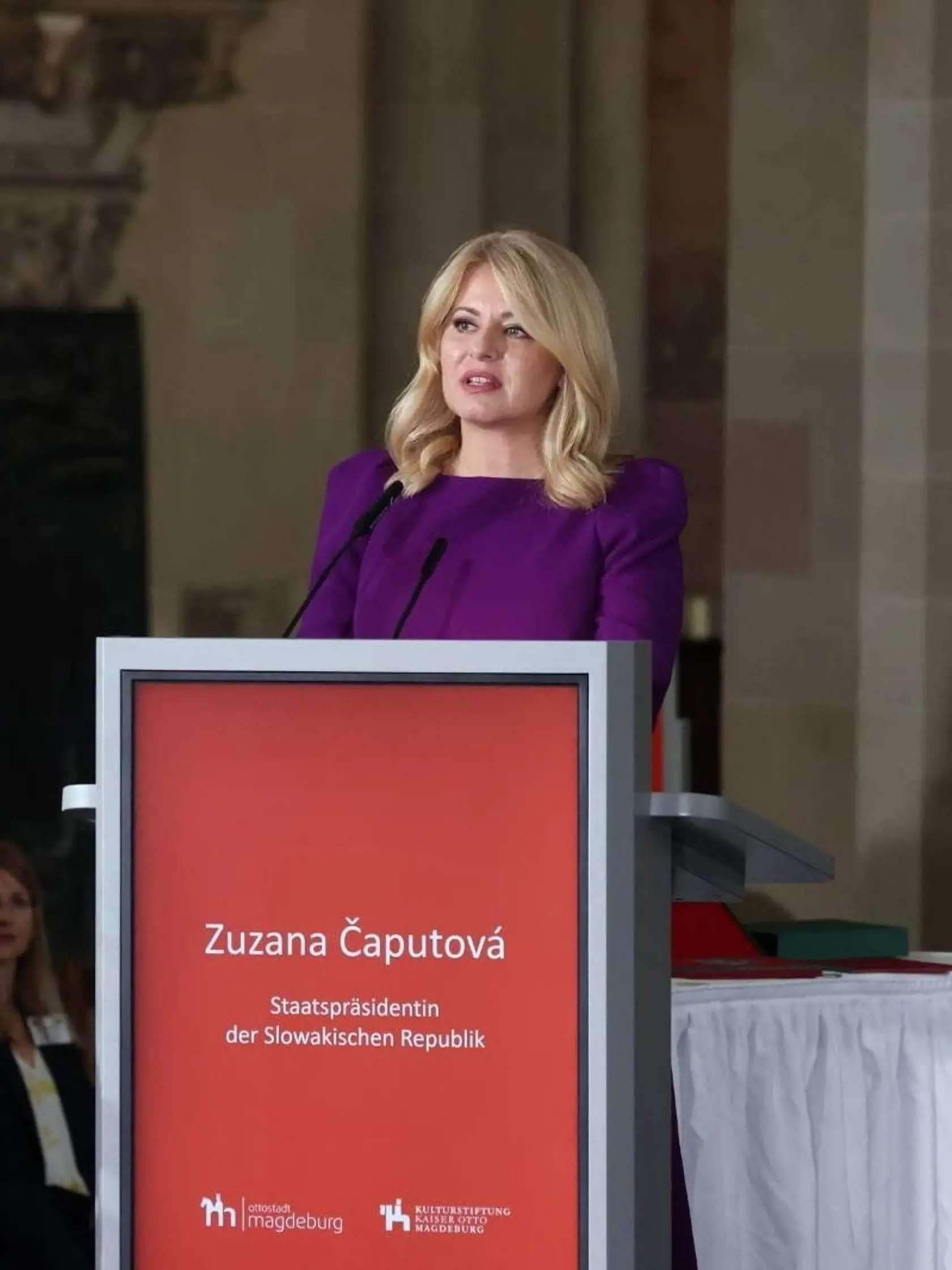 Protokolistka pochválila aj dokonale upravený účes prezidentky, ktorý je pre ňu príznačný. „Čo sa týka úpravy vlasov, tam sa prezidentke absolútne nedá nič vytknúť, pretože má vždy perfektne upravené vlasy odborníkom. Nie je len učesaná, čo je výsada mladých žien, ale vždy má perfektný odborný účes,“ zhodnotila Holubová.