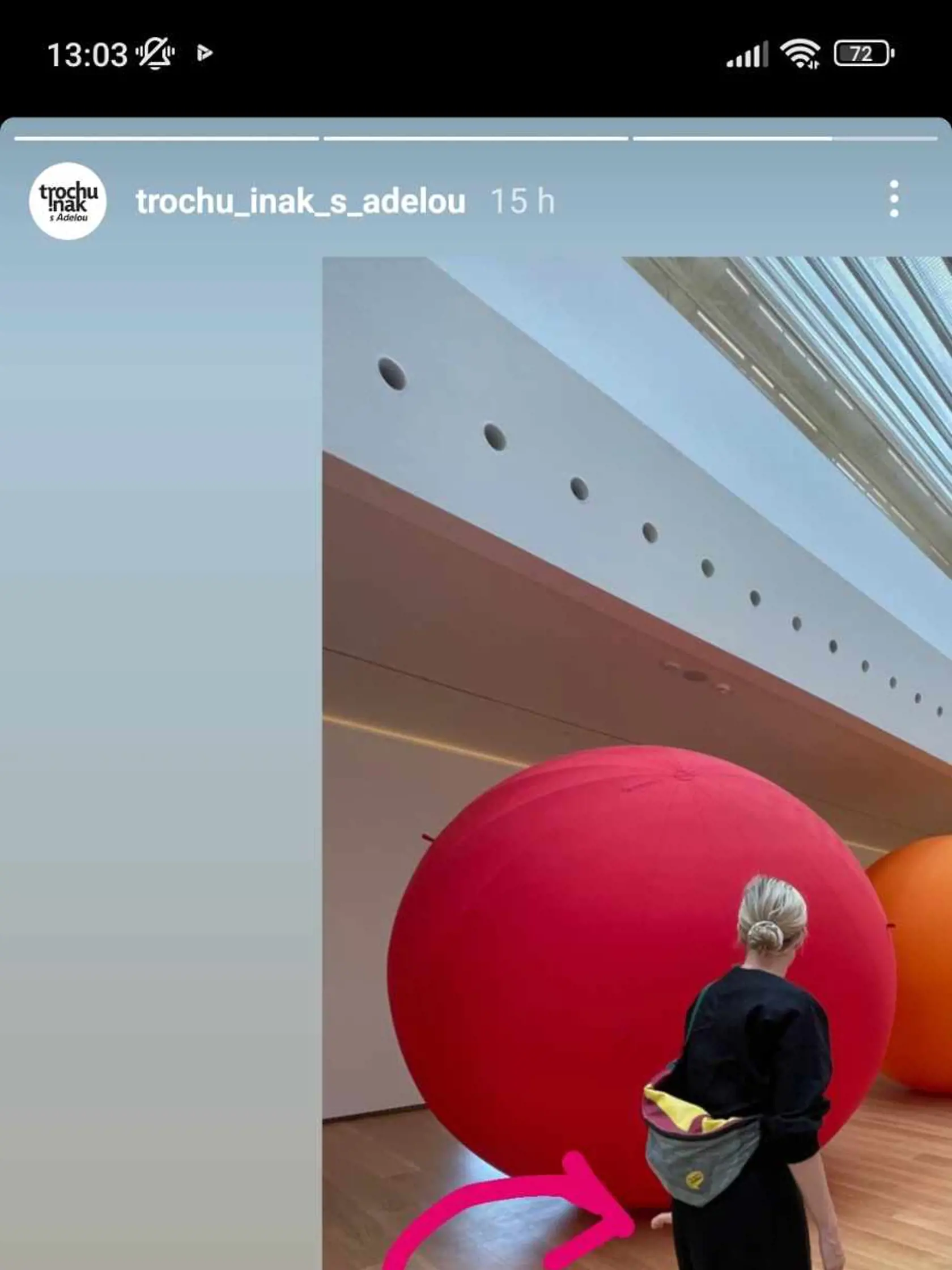 Následne svoju fotku vtipne okomentovala.