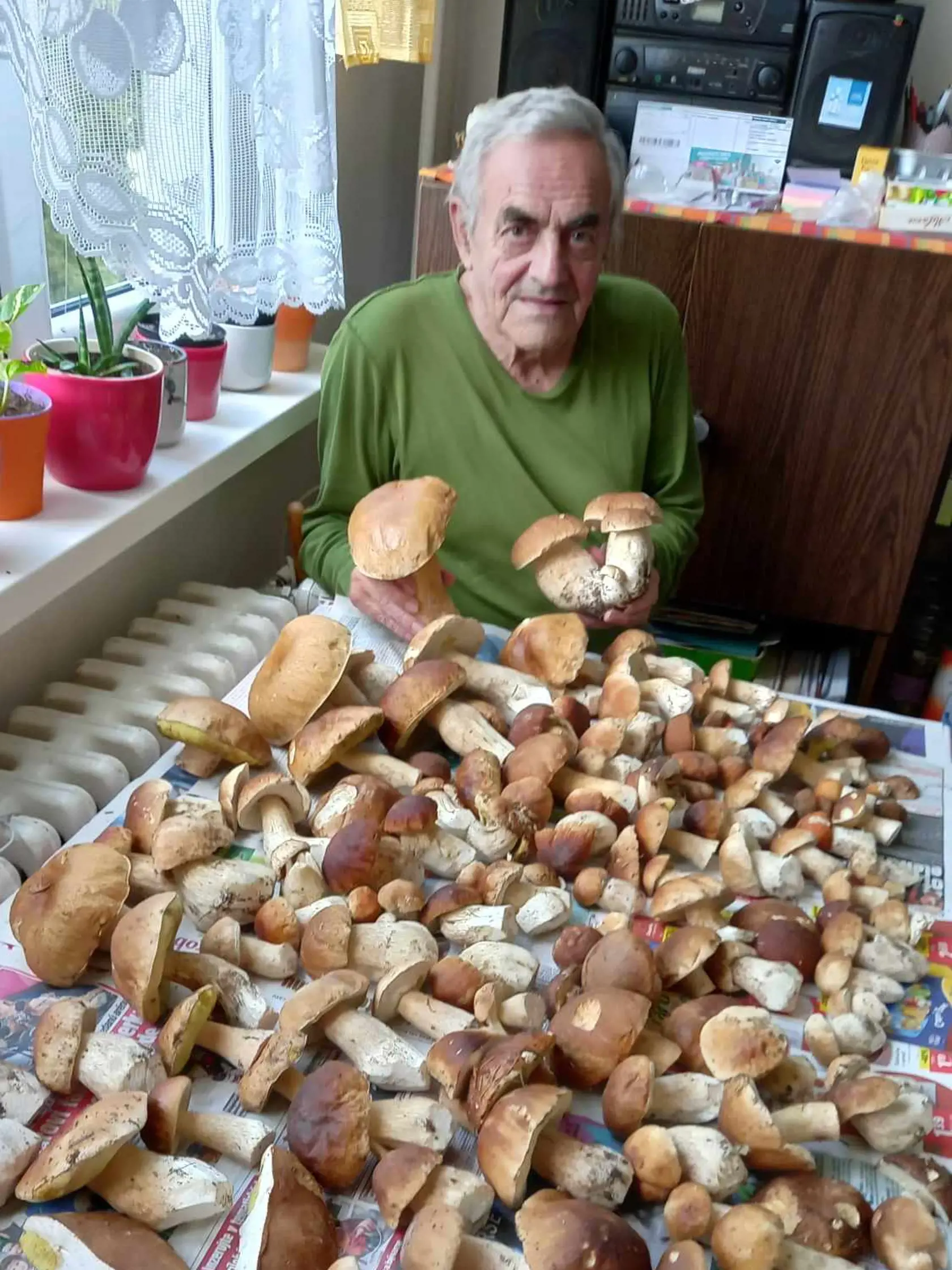 Dôchodca Jozef Surovec (73) z Banskej Štiavnice, je hubárom celý svoj život a k hubárčeniu ho priviedol starý otec. Práve s ním pásol kravy a zbieral prvé hríby.