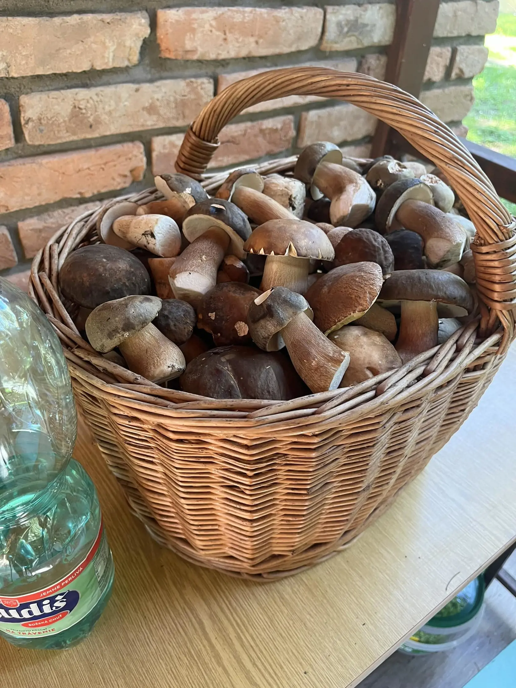 Samotná hubačka trvá niekedy aj 2 - 4 hodiny.