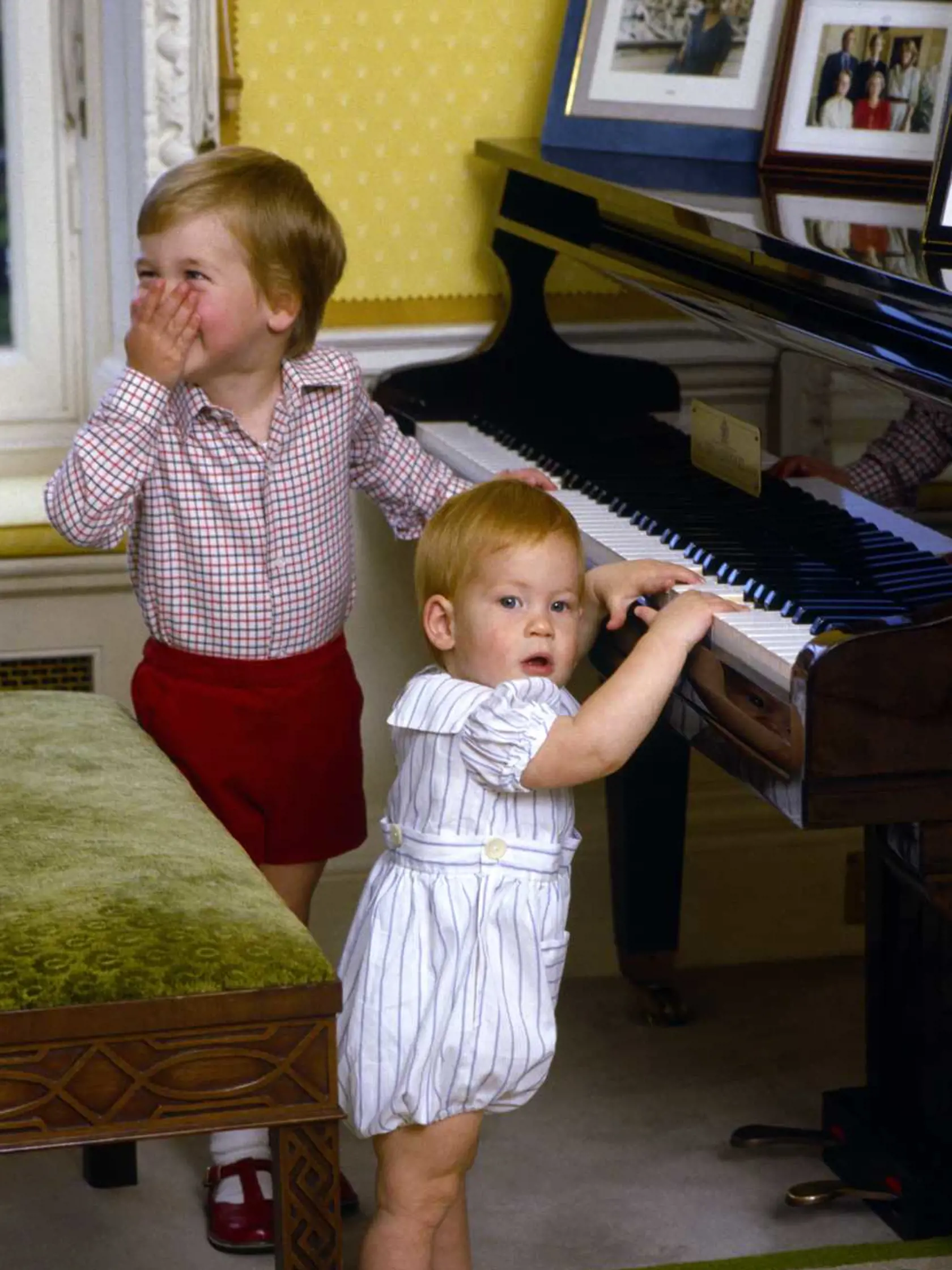 Princ William a Princ Harry (1985) 
