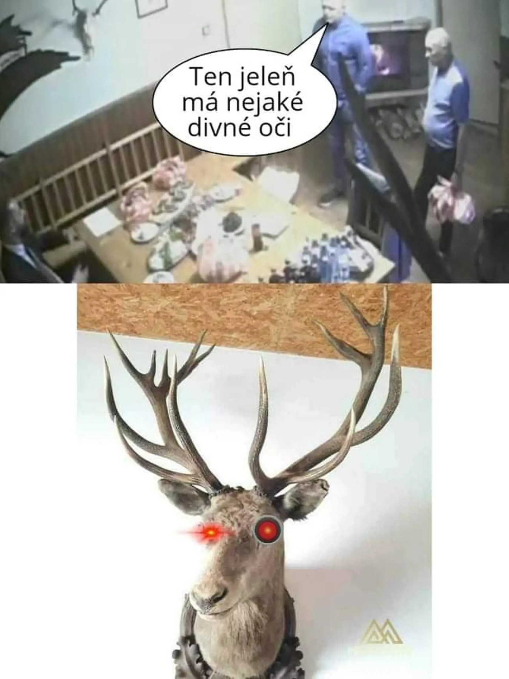 Poľovnícka chata pri Leviciach, a to, čo sa na nej dialo, patrí momentálne medzi najhorúcejšie témy na Slovensku. Podľa medializovaných informácii, odpočúvacie prístroje mali nasadiť do jednej s poľovníckych trofej