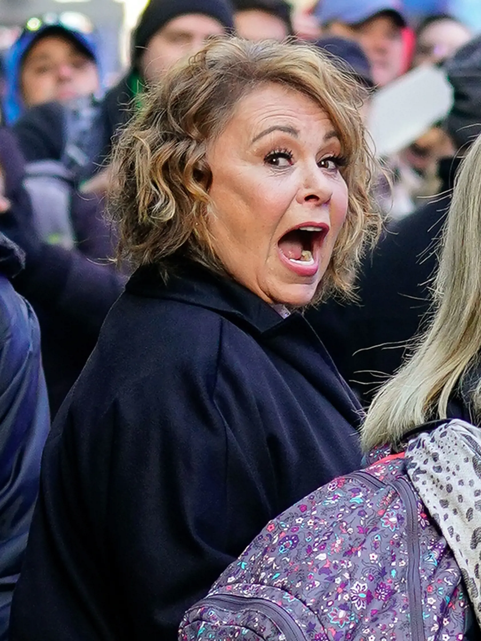 Roseanne Barr (2018)