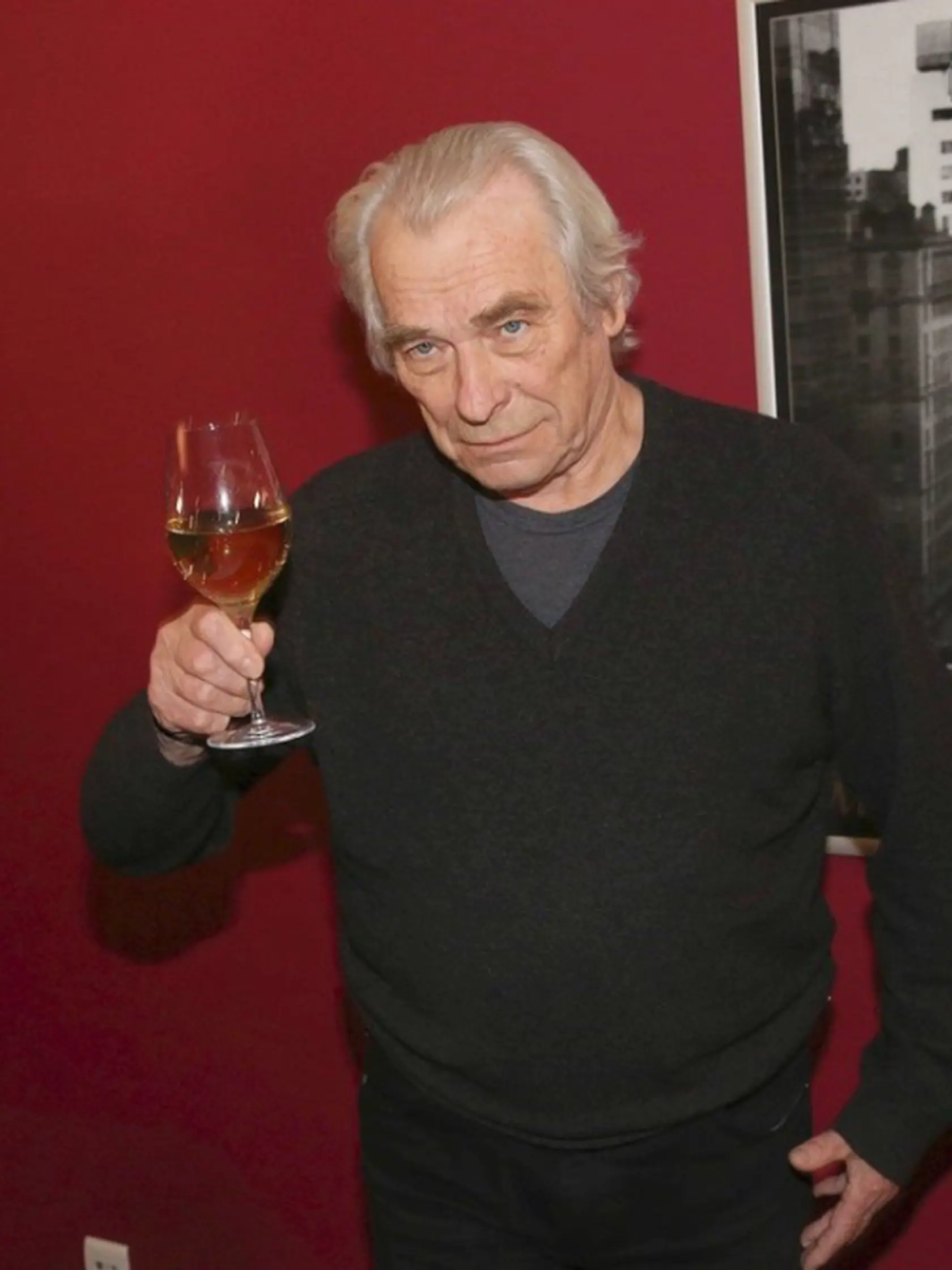 Alois Švehlík nepohrdol pohárom dobrého vínka. 