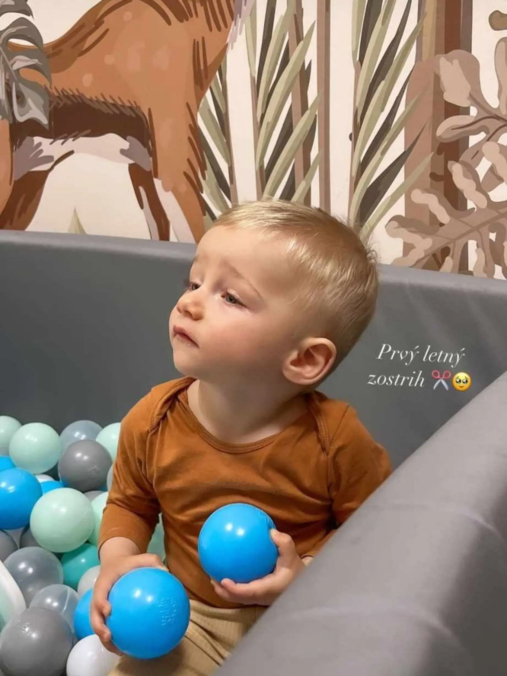Jakubko je už na svoju narodeninovú oslavu pripravený. Mama Ivana ho odfotila s novým zostrihom.