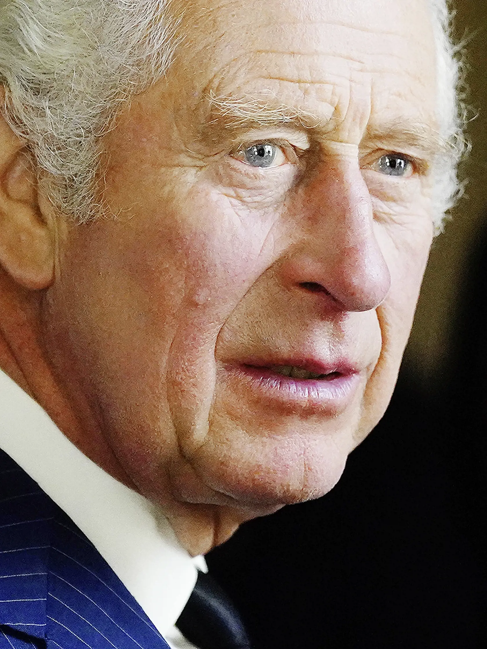 LONDON, ENGLAND - SEPTEMBER 11: King Charles III during a reception with Realm High Commissioners and their spouses in the Bow Room at Buckingham Palace on September 11, 2022 in London, England. King Charles III ascended the throne of the United Kingdom on the death of his mother, Queen Elizabeth II on 8 September 2022. (Photo by Victoria Jones - WPA Pool/Getty Images)