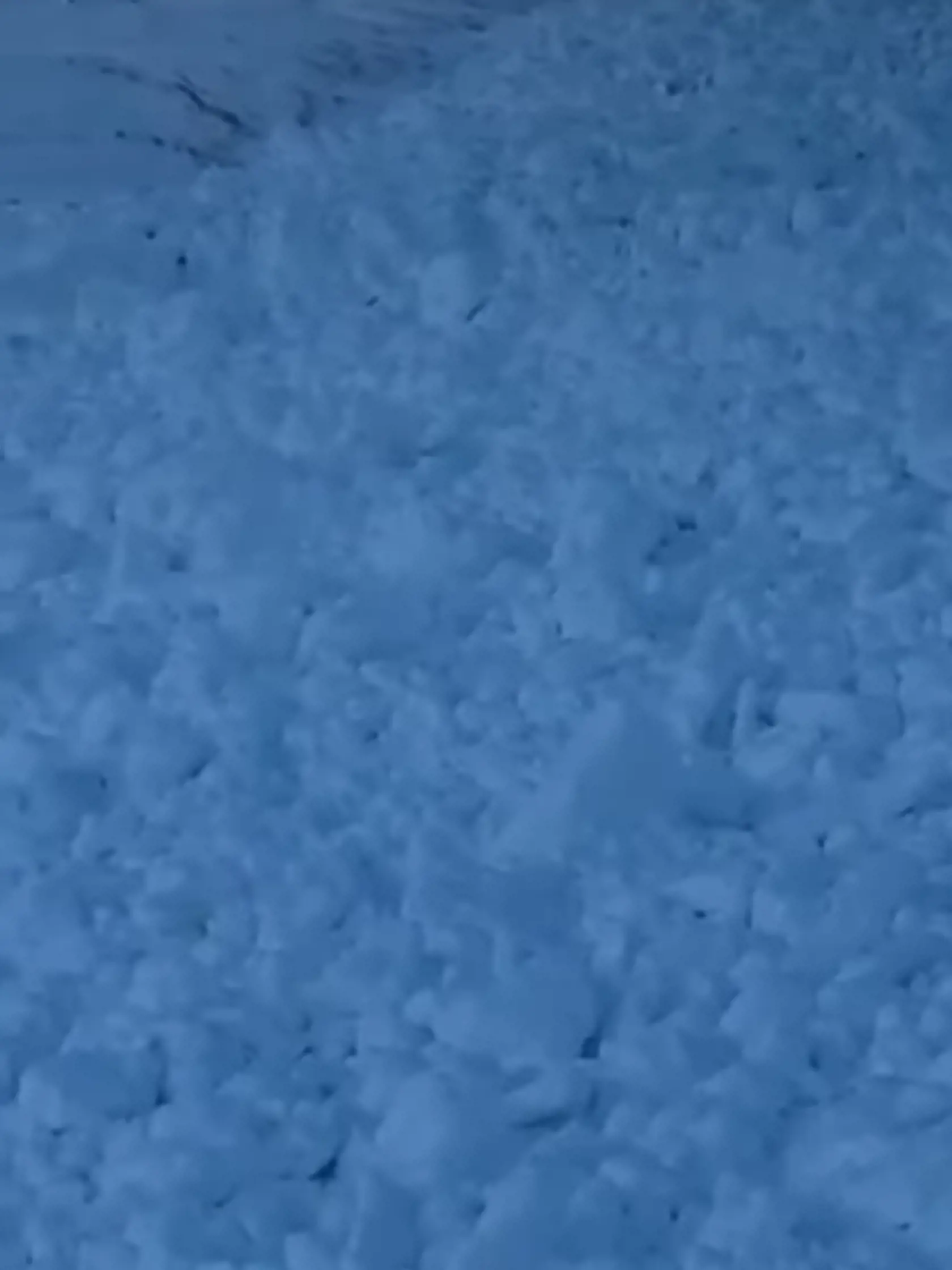 Lavína vo Veľkej Fatre si vyžiadala dve obete.