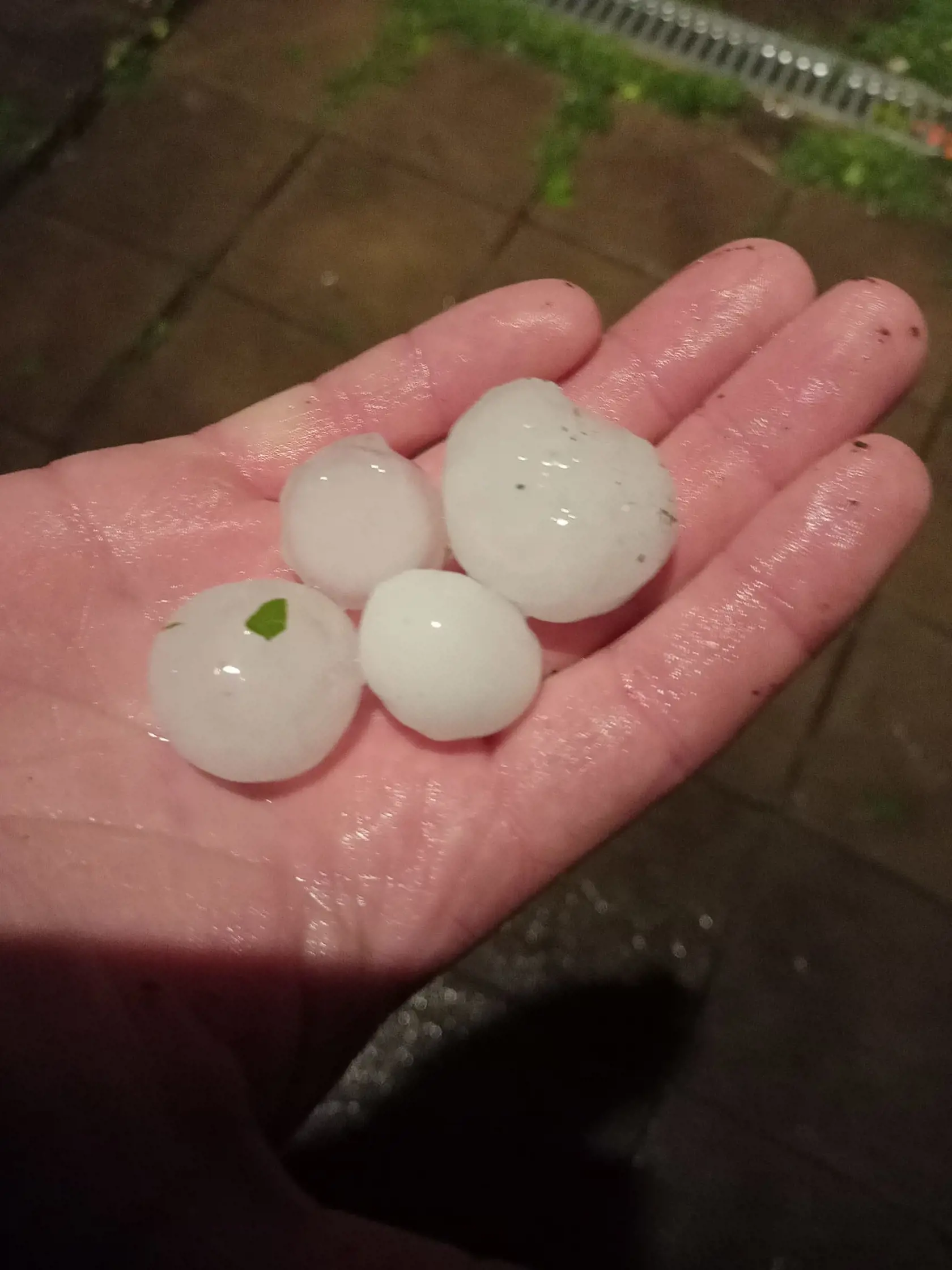 Obrovské krúpy, ktoré padali v obvi Gbelce, zničili úrodu.