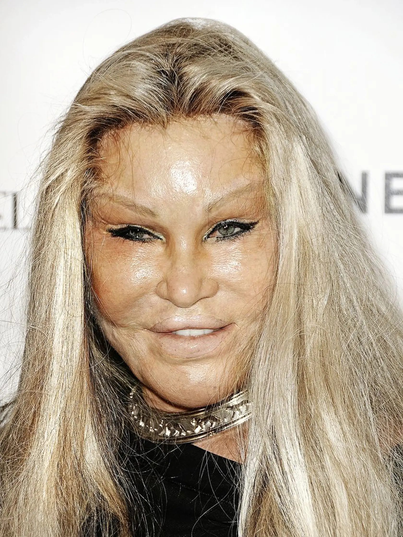 Jocelyn Wildenstein