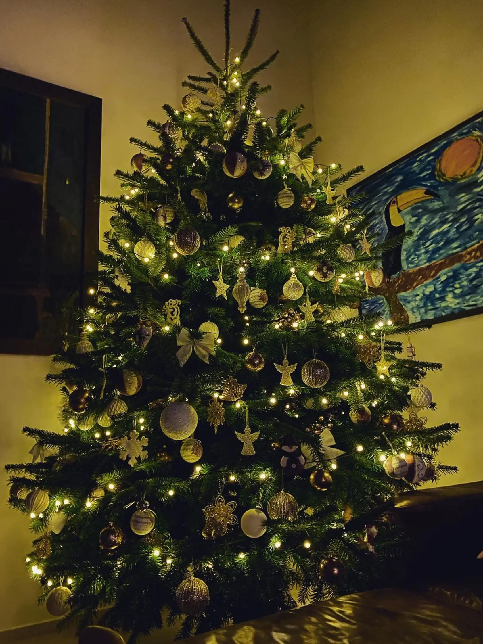 Nela Pocisková ukázala vianočný stromček.
