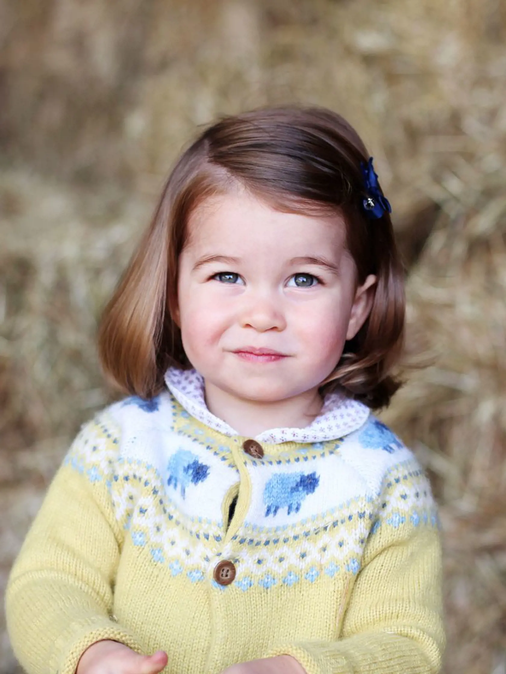 Princezná Charlotte (2017)