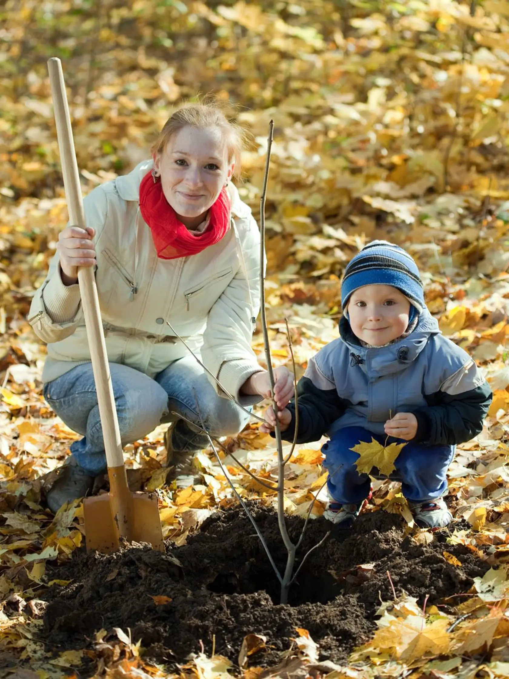 Ľudia, ktorí sa venujú záhradníčeniu, zaraďujú túto činnosť medzi päť najužitočnejších aktivít svojho života.