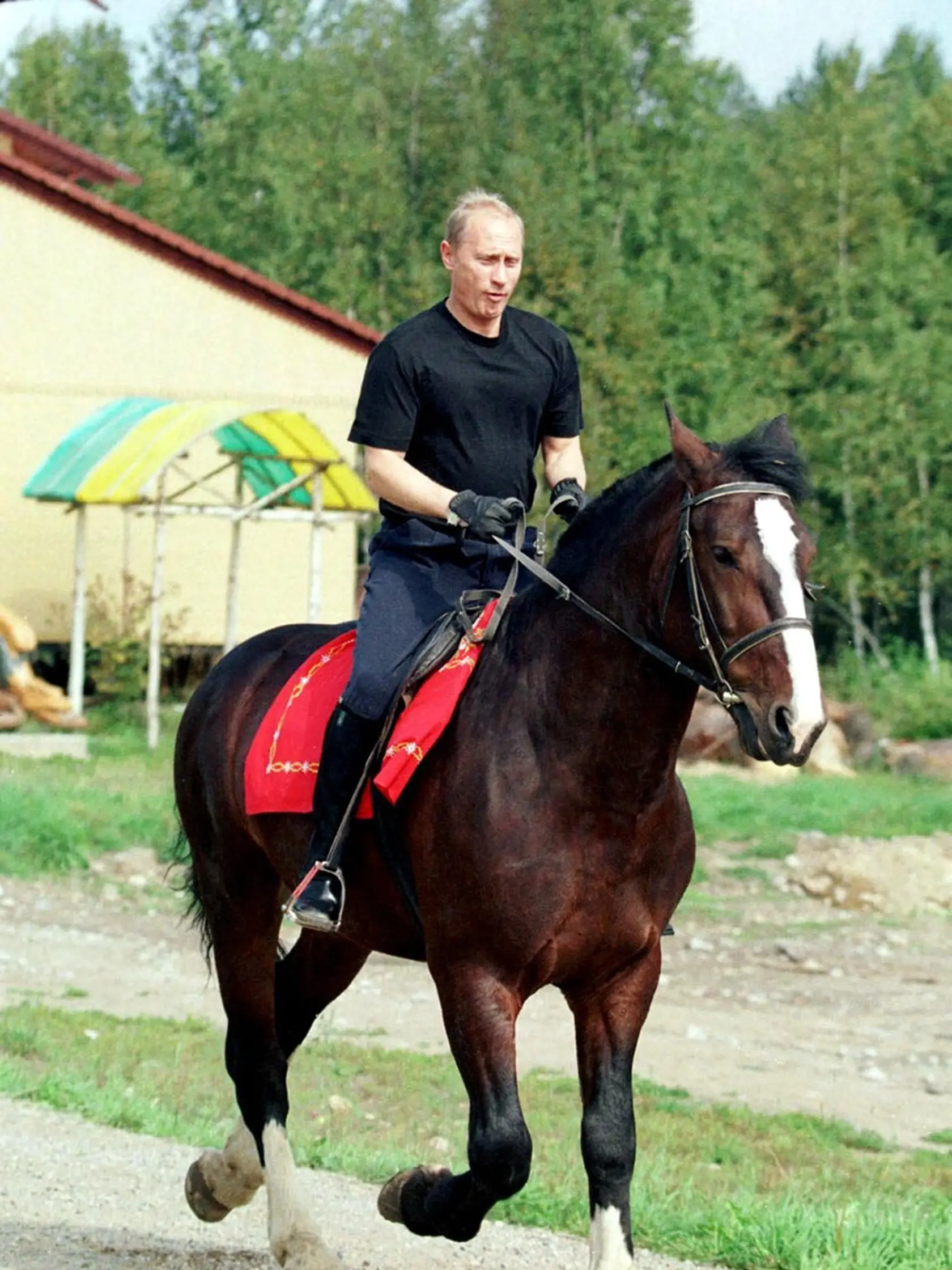 Ruský prezident Vladimir Putin rád jazdí na koňoch.