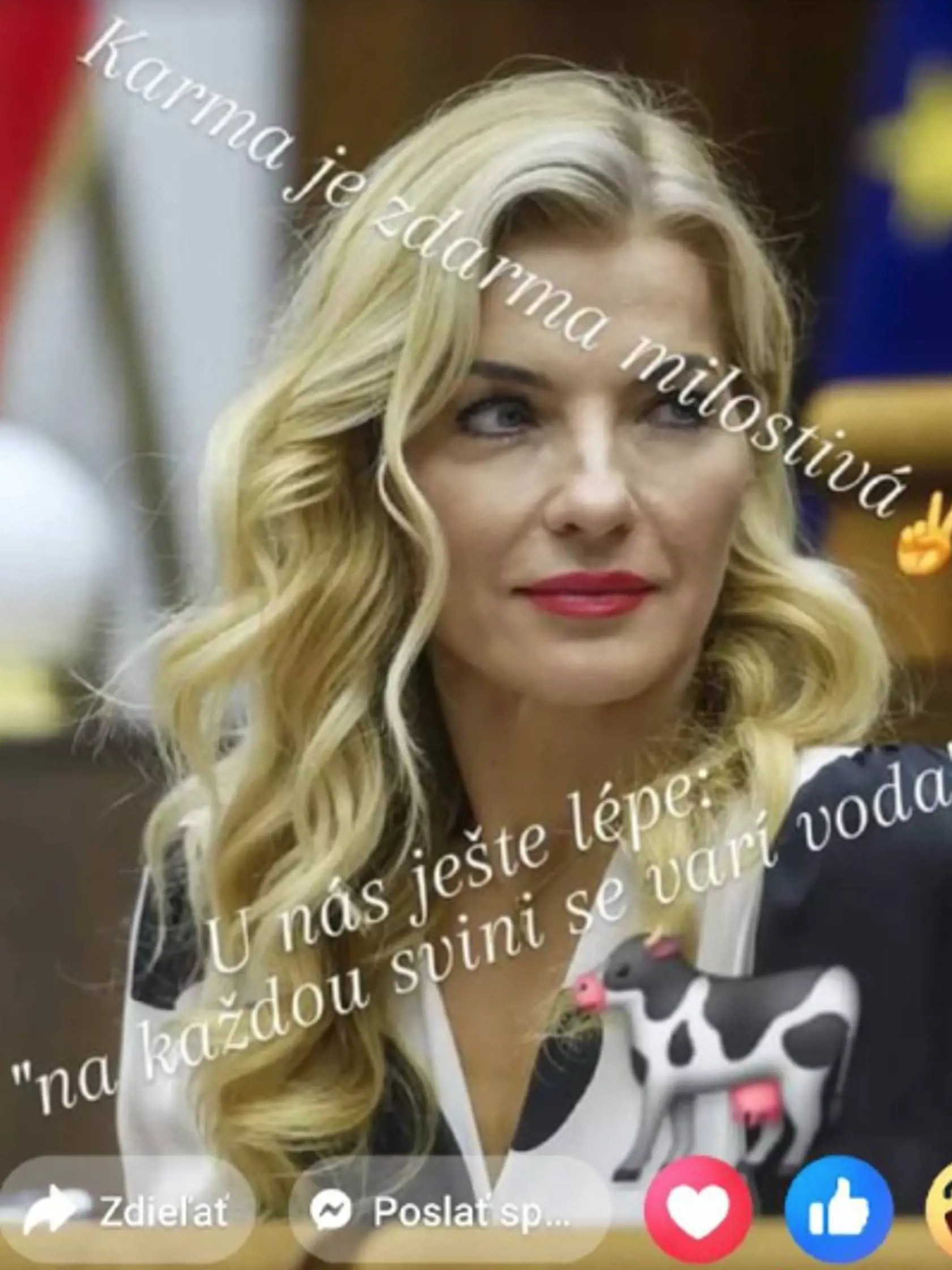 Vyjadrenia kultúrnych inštitúcií na adresu ministerky Martiny Šimkovičovej.