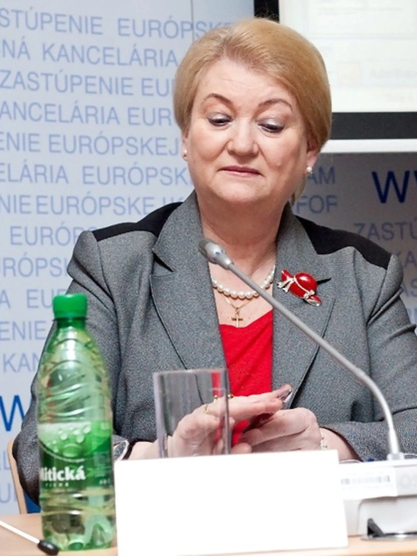 Anna Záborská:
Poslala tlačovú
správu s chybou.