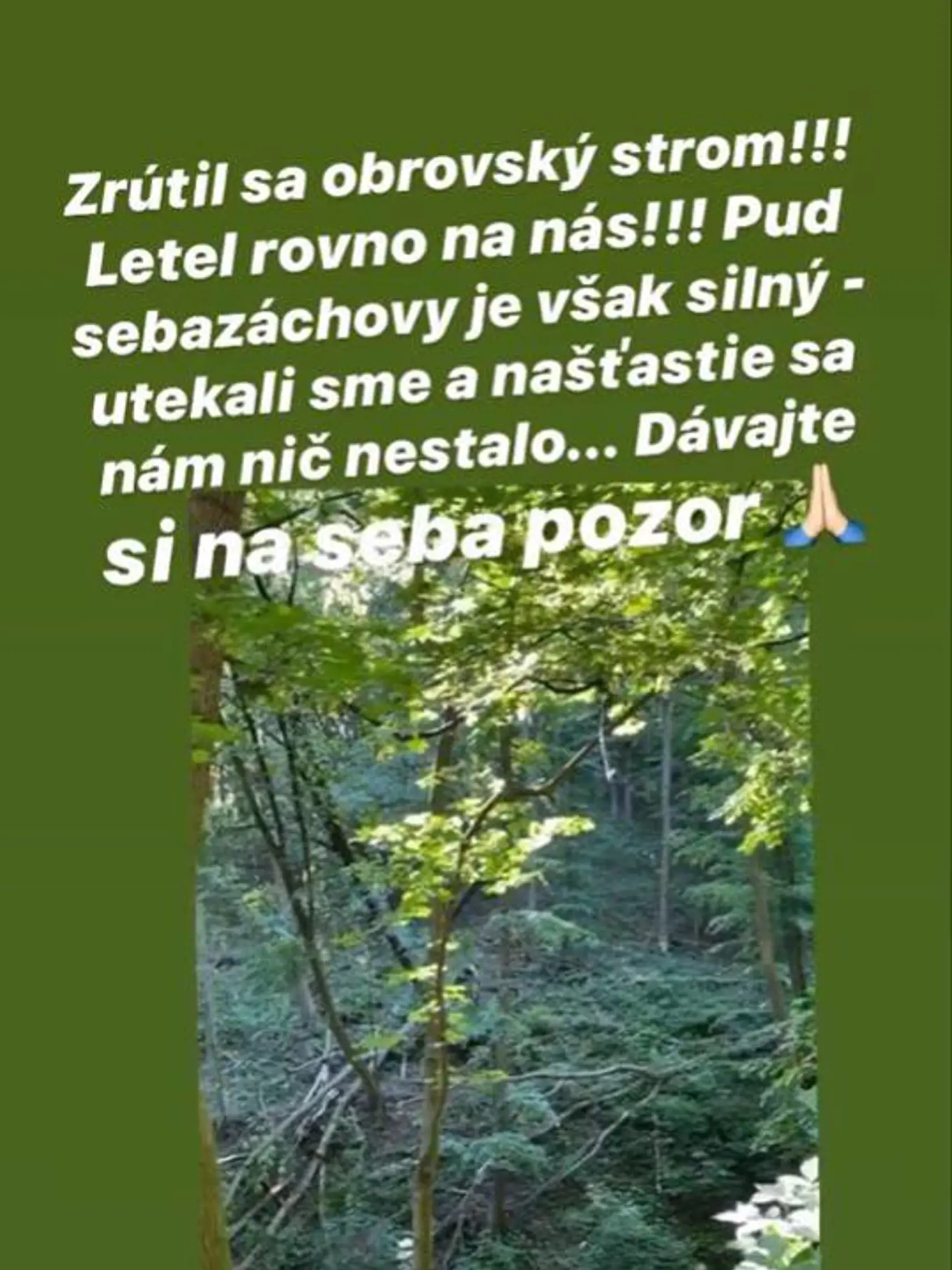 Horváthová opísala hrôzostrašnú príhodu z lesa.
