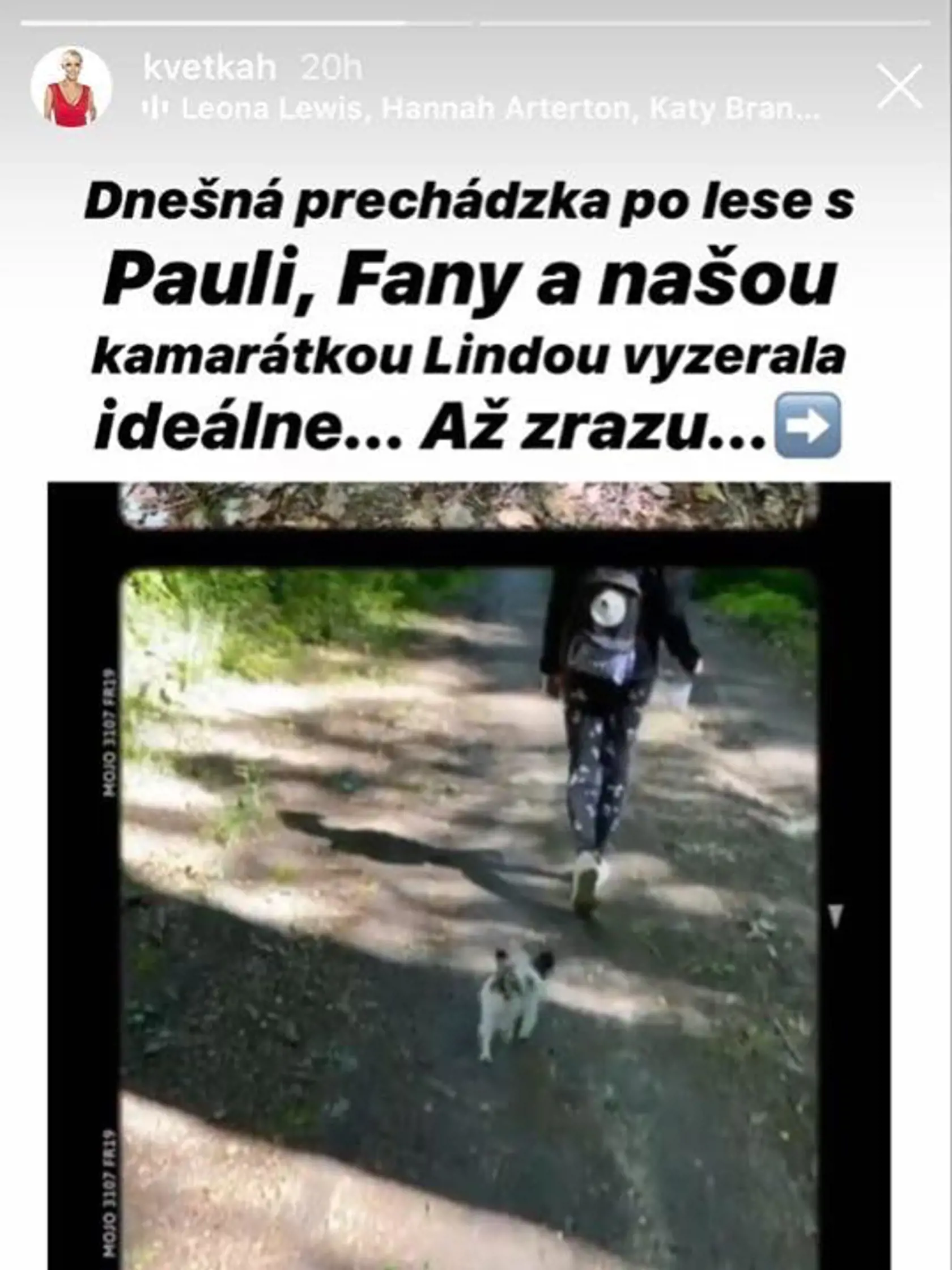 Horváthová opísala hrôzostrašnú príhodu z lesa.