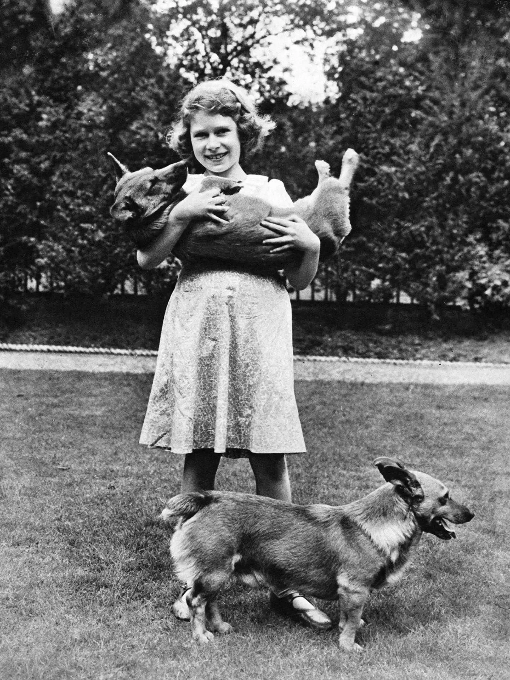 Princezná Elizabeth so svojimi korgi v roku 1936,