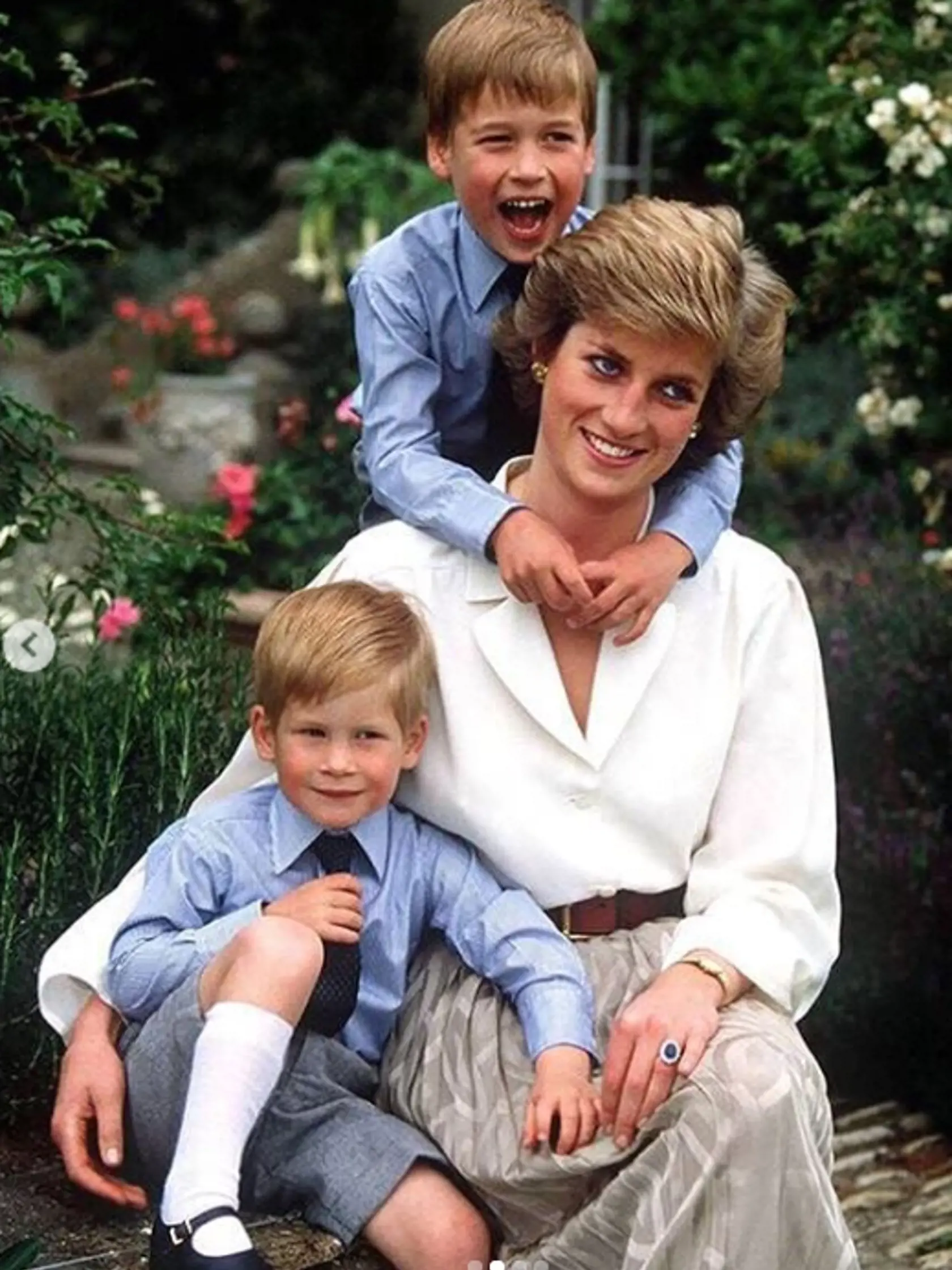 Lady Diana so synmi.