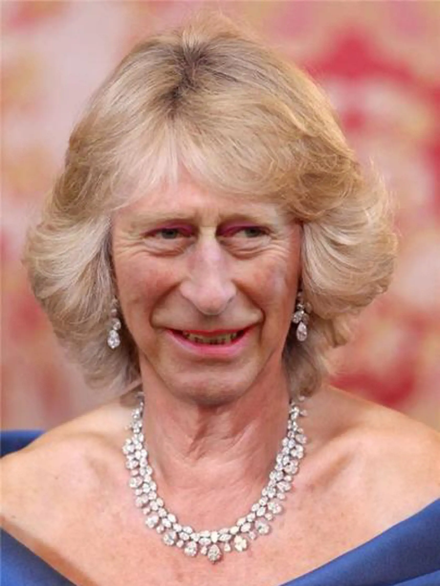 Charmilla vyzerá naozaj milo. Charles a Camilla môžu byť spokojní.