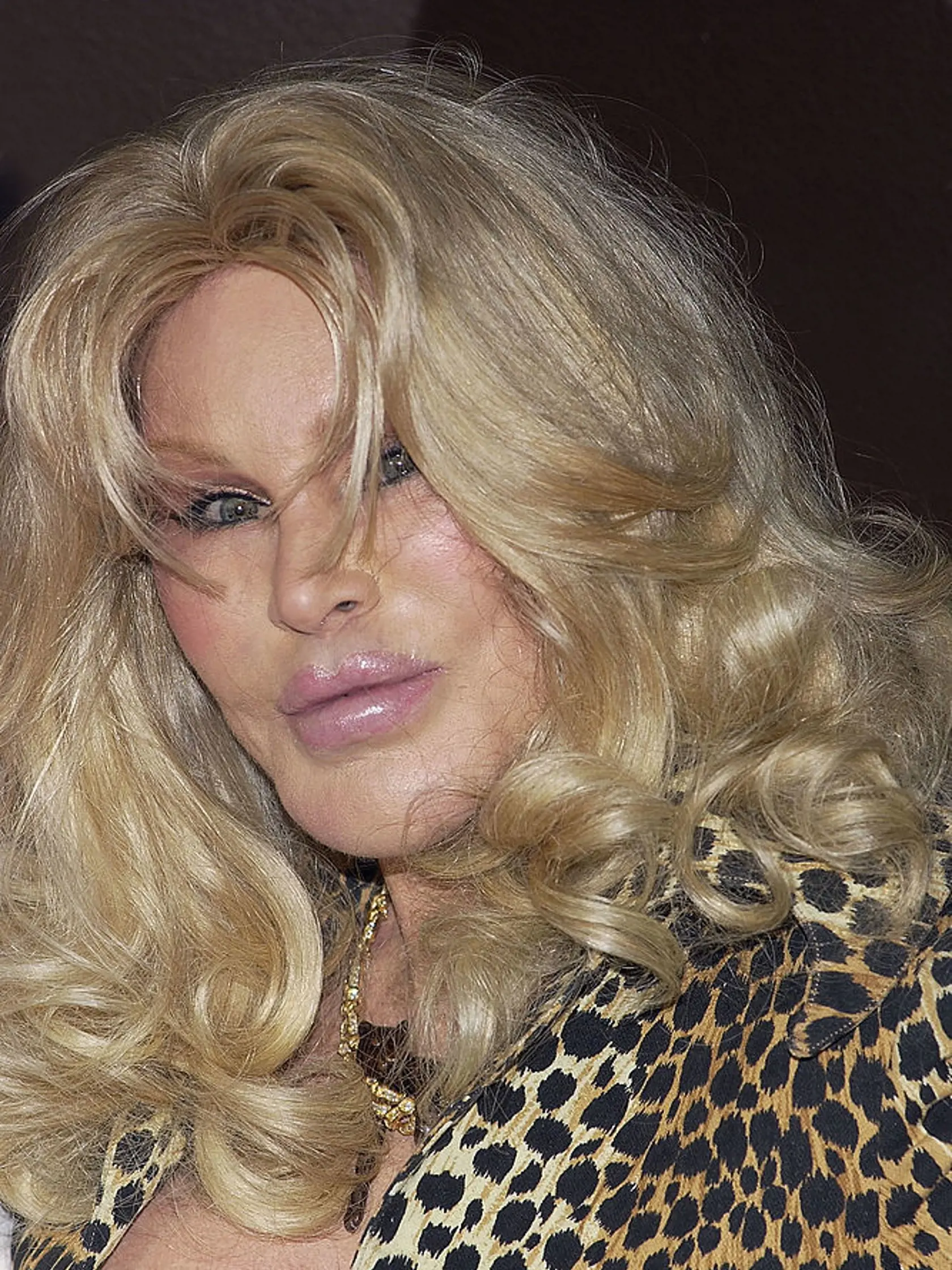 Jocelyn Wildenstein