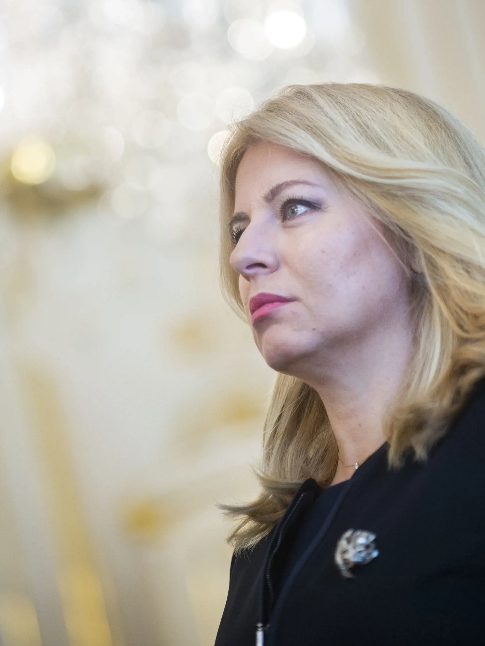 Schválené znenie zároveň podľa Čaputovej protiústavne stotožňuje inštitút primeraného finančného zadosťučinenia, respektíve spravodlivého zadosťučinenia, ako formy postihu orgánu verejnej moci s inštitútom náhrady nemajetkovej ujmy ako formy náhrady škody.