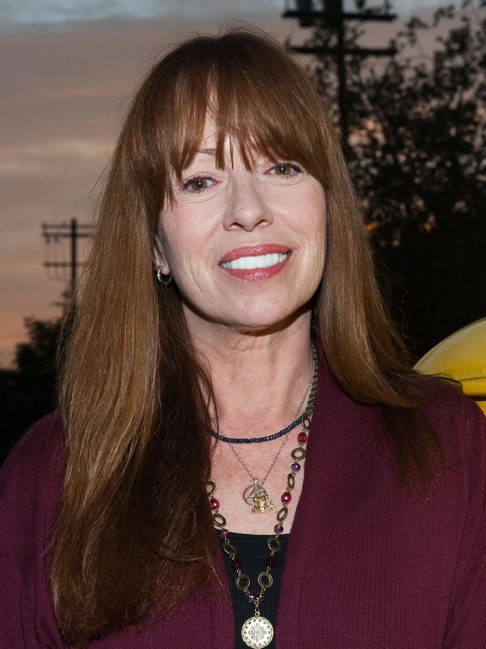 Herečka Mackenzie Phillips v roku 2013