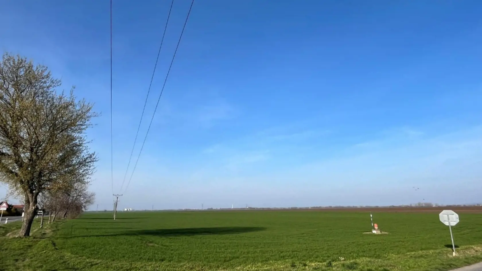 Pod elektronickú formu petície sa už podpísalo cez dvetisíc ľudí, ďalšie tisícky podpisov zbierajú dobrovoľníci na ulici.