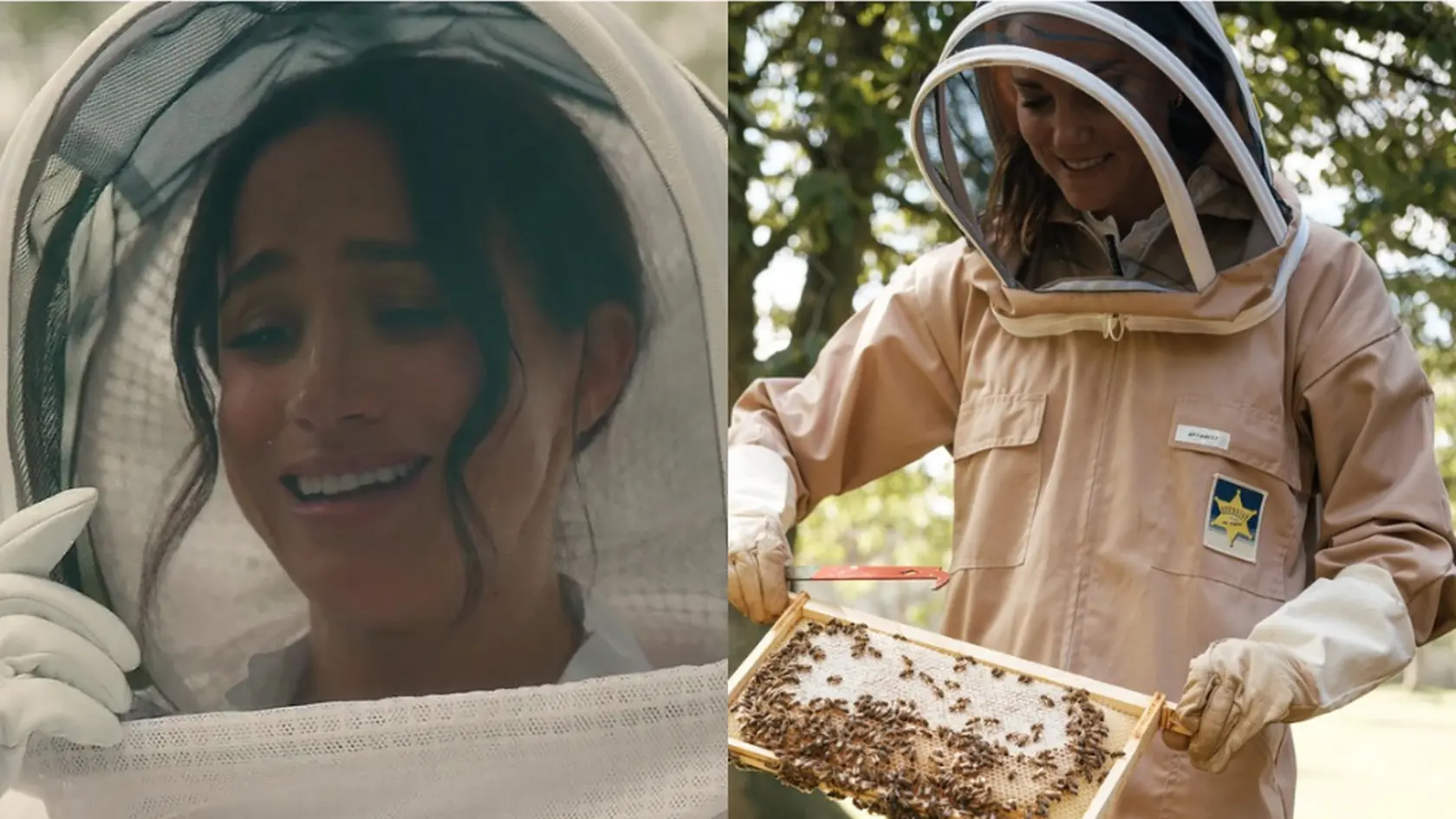 Zatiaľ čo Kate si včelárstvo užíva už roky, Meghan Markle sa ním zrazu chváli vo veľkom. Fanúšikovia však nemajú pochýb – ide vraj len o ďalší pokus zatieniť obľúbenejšiu švagrinú.