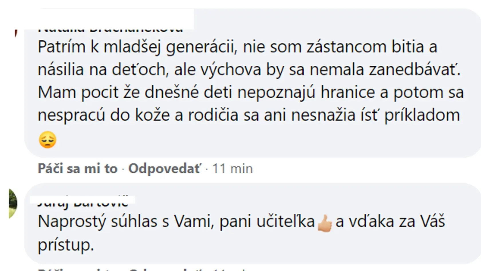 Názory komentujúcich na prípad.