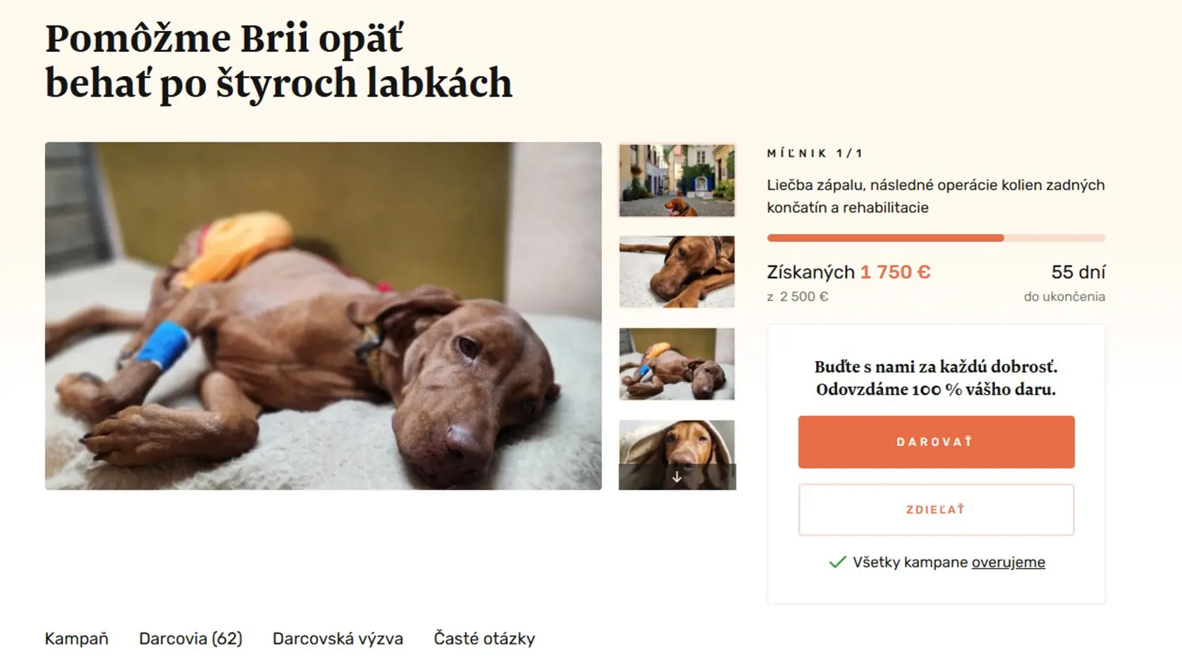 Bežné sú aj výzvy na pomoc chorým domácim zvieratám. Psík na obrázku má podľa príbehu, ktorý pri ňom nájdete, problém s labkami.