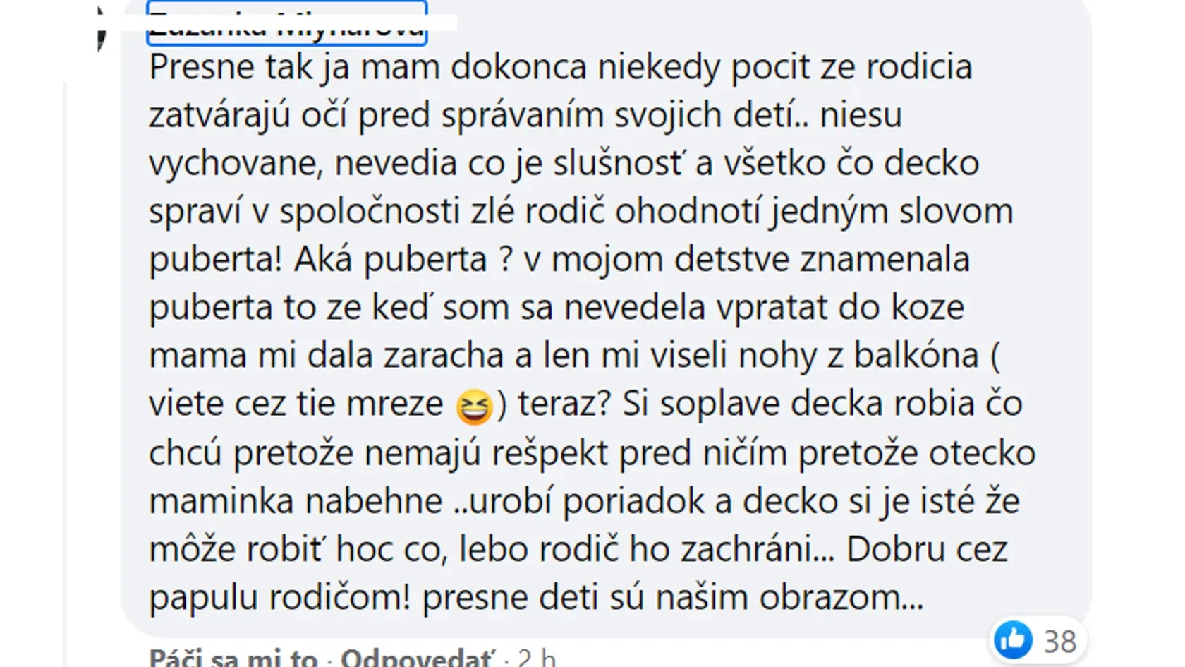Názory komentujúcich na prípad.