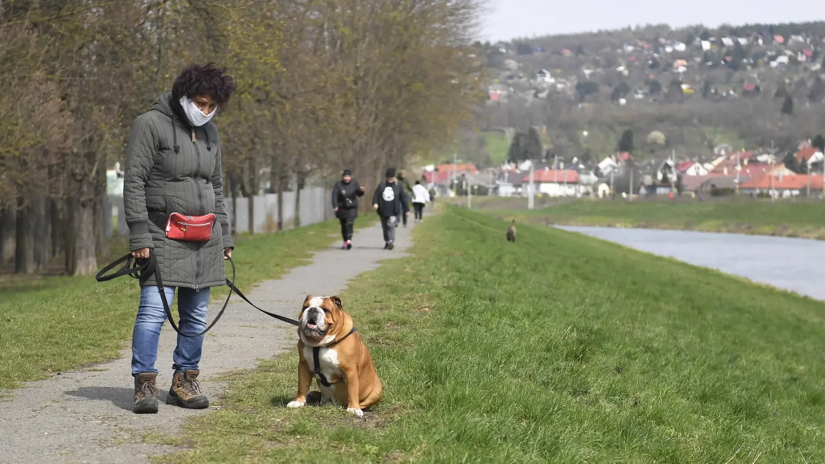 Pri venčení psa nepotrebujete negatívny test.