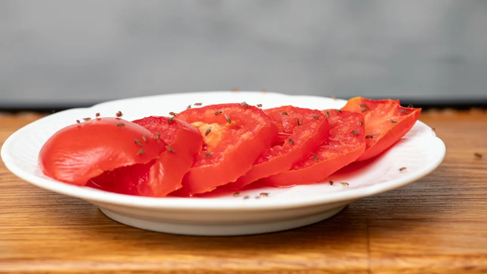 Lot of fruit flies Drosophila melanogaster eating of slices of tomatoes in home kitchen.