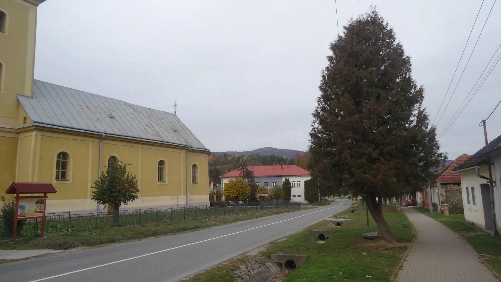 Sudca rozhodol o väzbe z dôvodu možnej obavy z úteku, ovplyvňovania svedkov a pokračovania v trestnej činnosti.