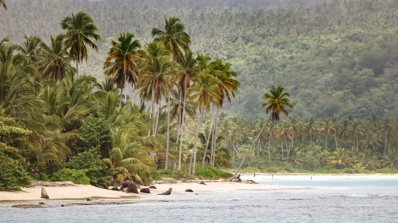 Päť štátov z východného Karibiku ponúka pas, ak si tam kúpite nehnuteľnosť. ide o: Antigua a Barbuda, Dominika, Grenada, Svätý Krištof a Nevis a Svätá Lucia.