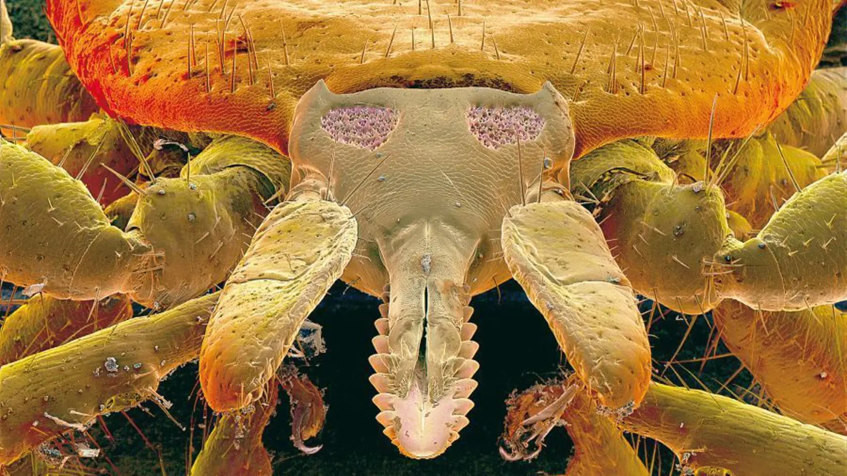Ilustračné foto