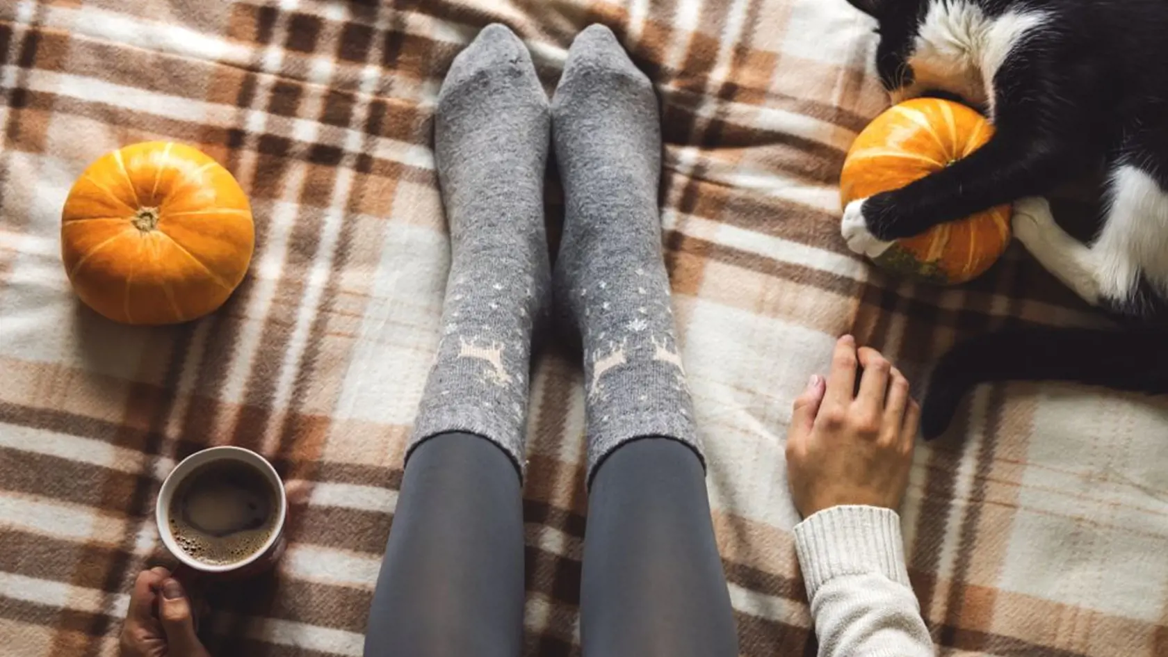 Čo si pre vás prichystal november?