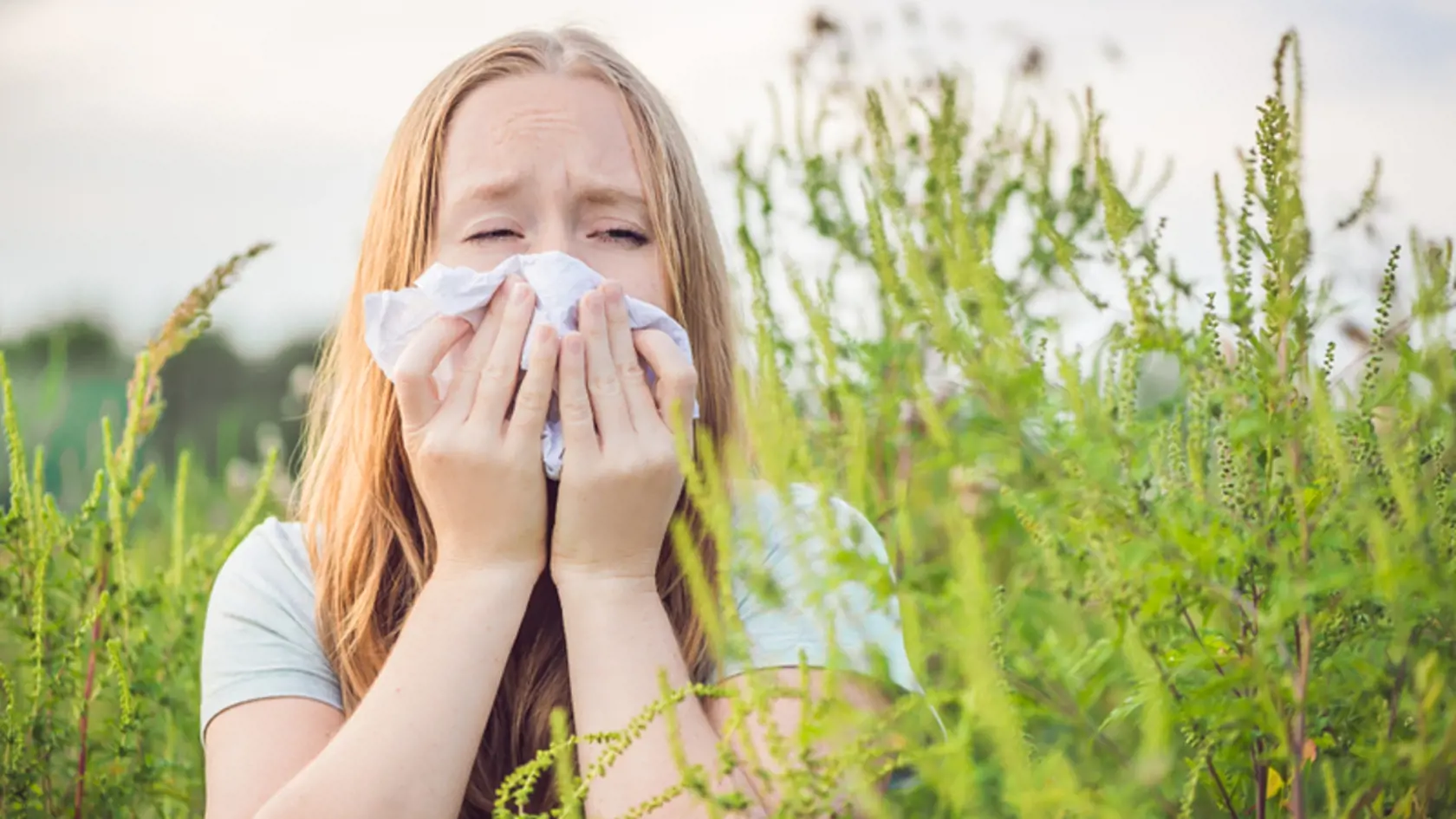 Sezónna peľová alergia je najrozšírenejšie alergické ochorenie.