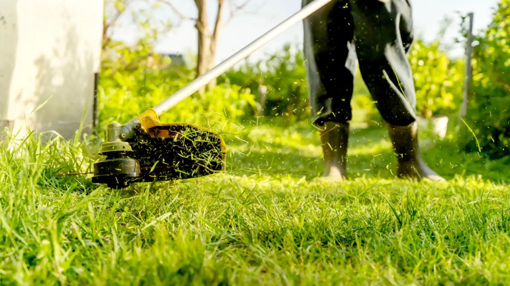 A man taking care of his lawn has a grass trimmer