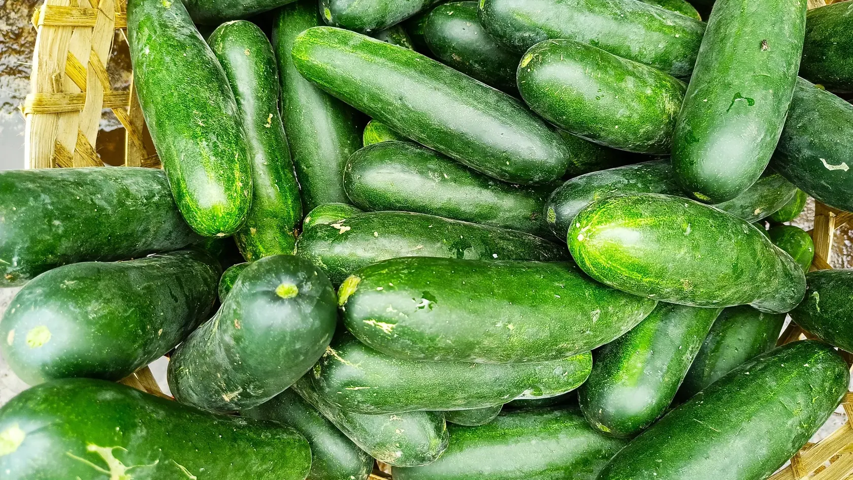 V čase horúcich letných dní spotrebuje jedna rastlina každý deň asi tri litre vody, preto ich v tomto období zalievajte dvakrát denne, inak im malé plody opadnú.